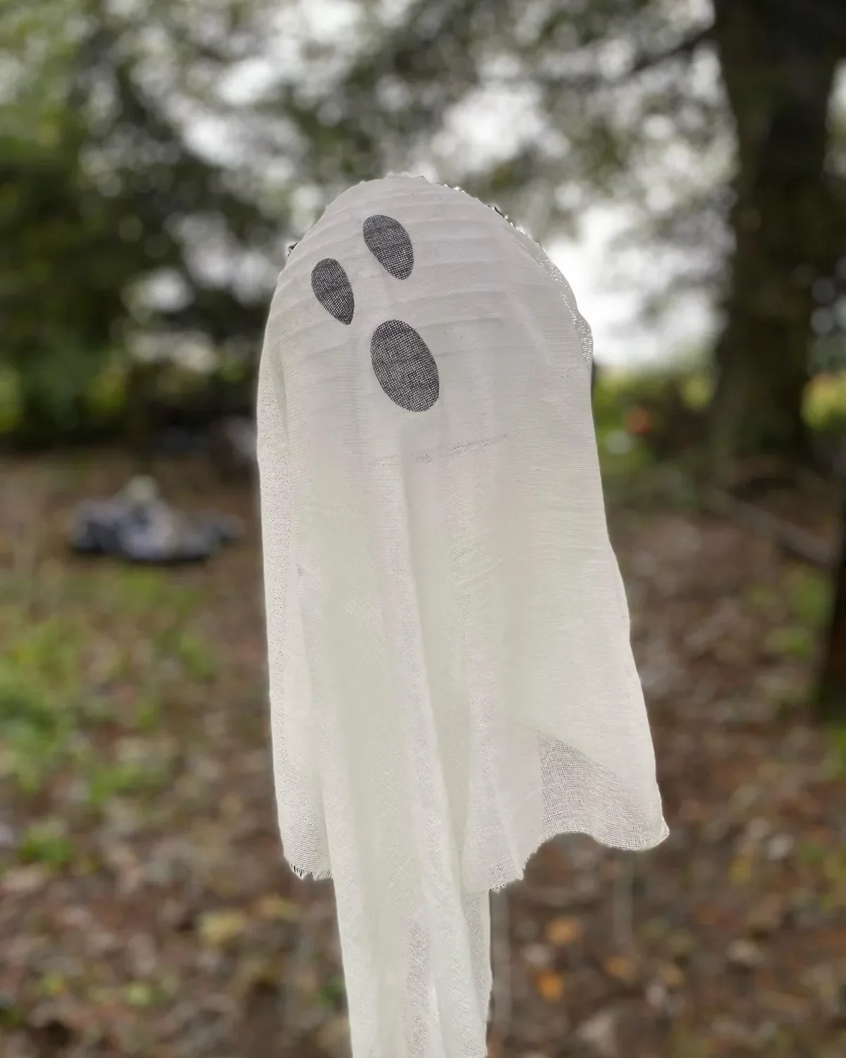 A small white Halloween ghost decoration made of gauze with black eye and mouth shapes, hanging outdoors with trees and a blurred background of leaves and a dark object on the ground.