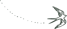 Silhouette of a swallow in flight with dotted trail behind it