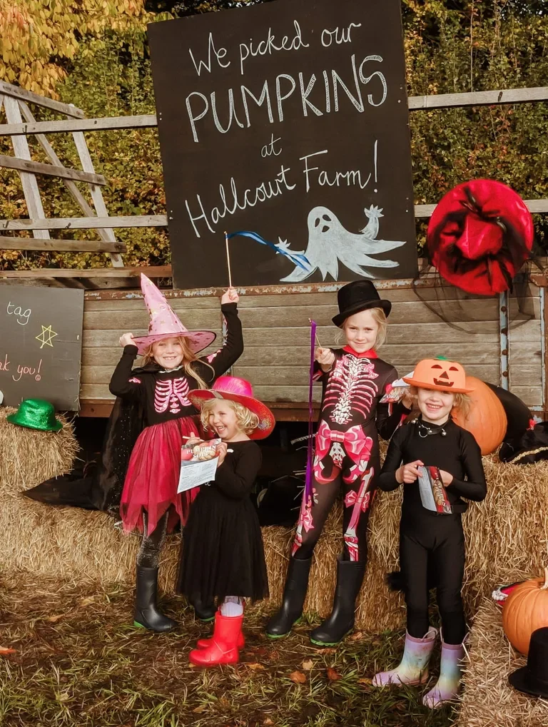 Four children dressed in Halloween costumes, standing on hay bales in front of a sign that reads 'We picked our PUMPKINS at Halloween Farm!' with a ghost illustration. Pumpkin decorations are around them.