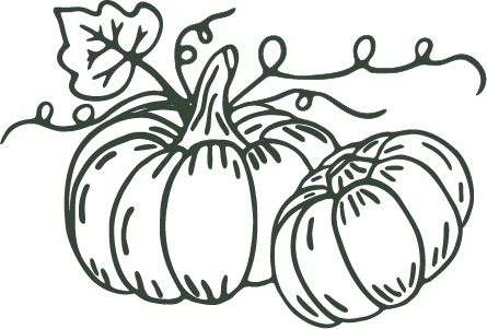 Drawing of three pumpkins with vine and leaf details.