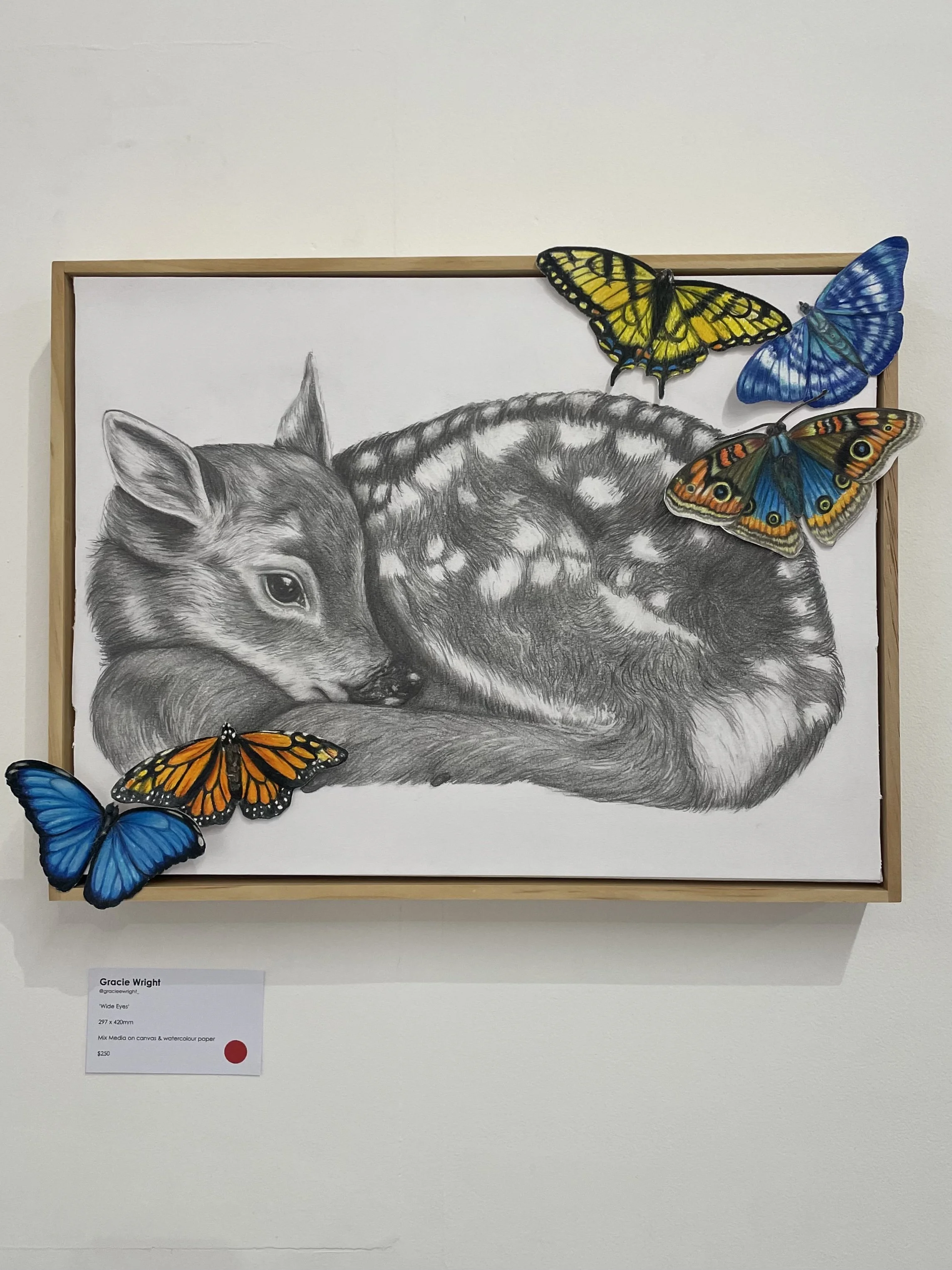 Drawing of a curled fox with detailed fur, surrounded by colorful butterfly cutouts on a white background with a wooden frame.