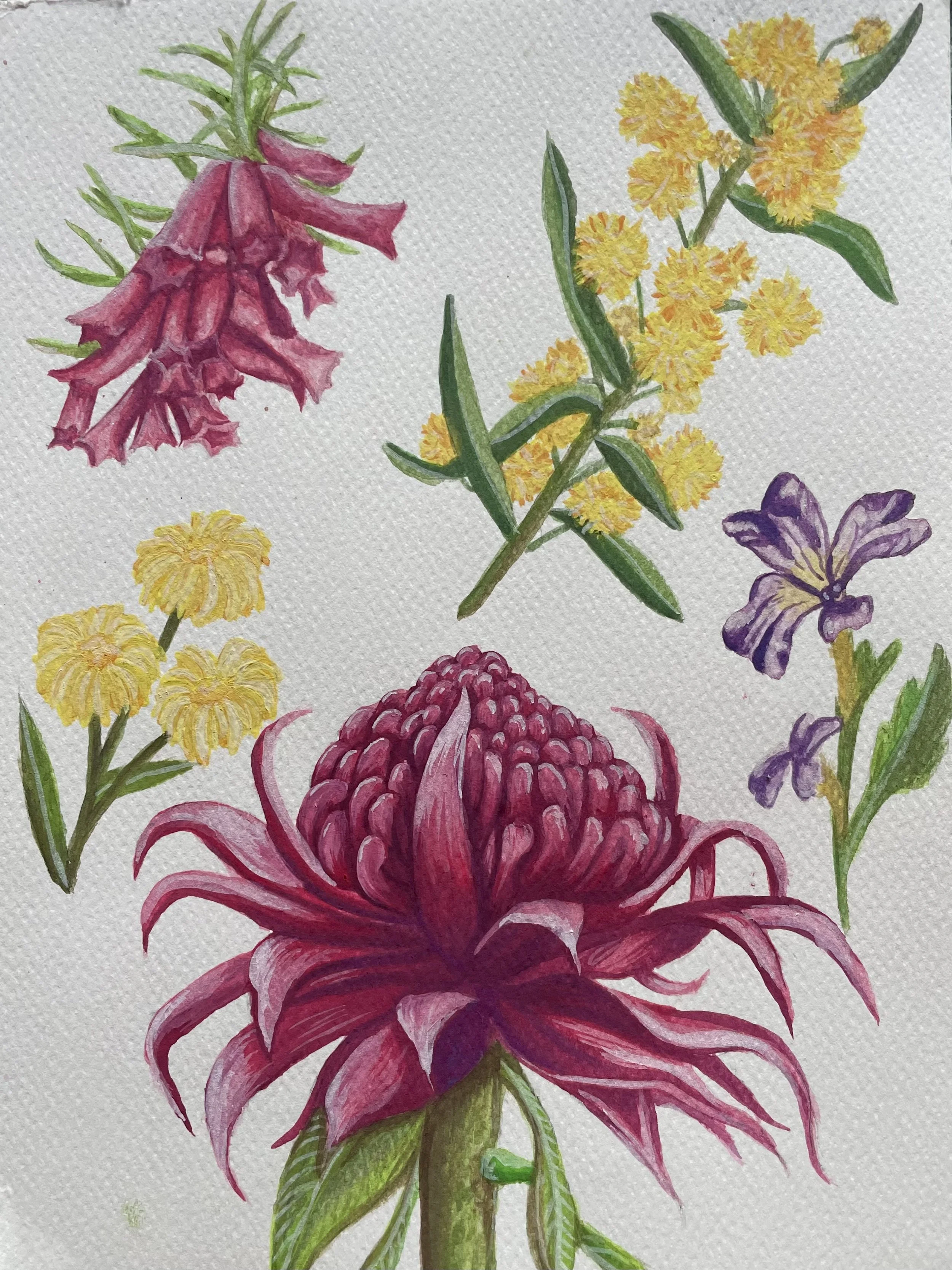 Native Flower Study