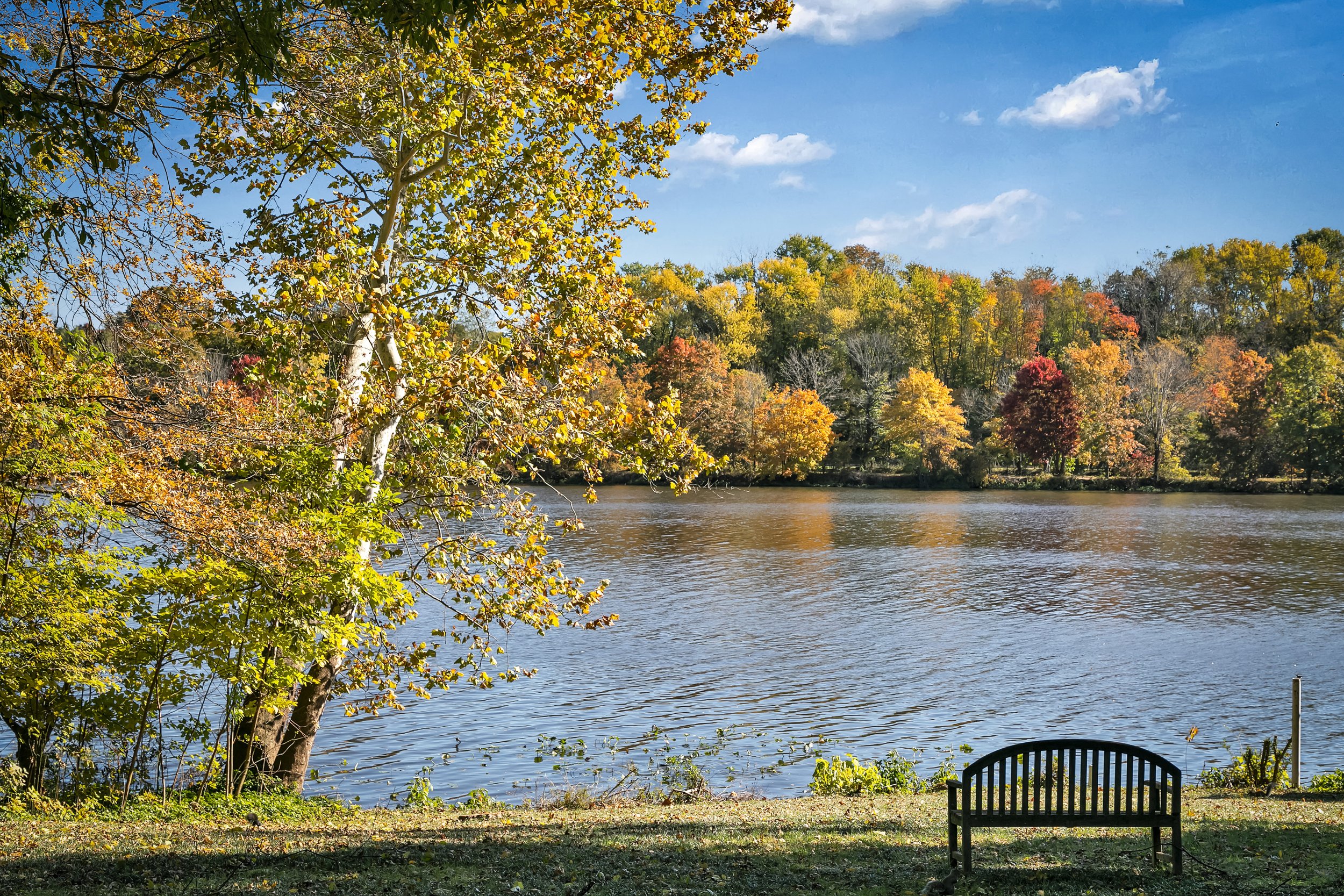 591 Lake Dr Princeton NJ 08540-print-046-40-1F8A6340-4200x2800-300dpi.jpg