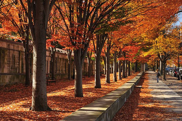 Downtown Princeton.jpg