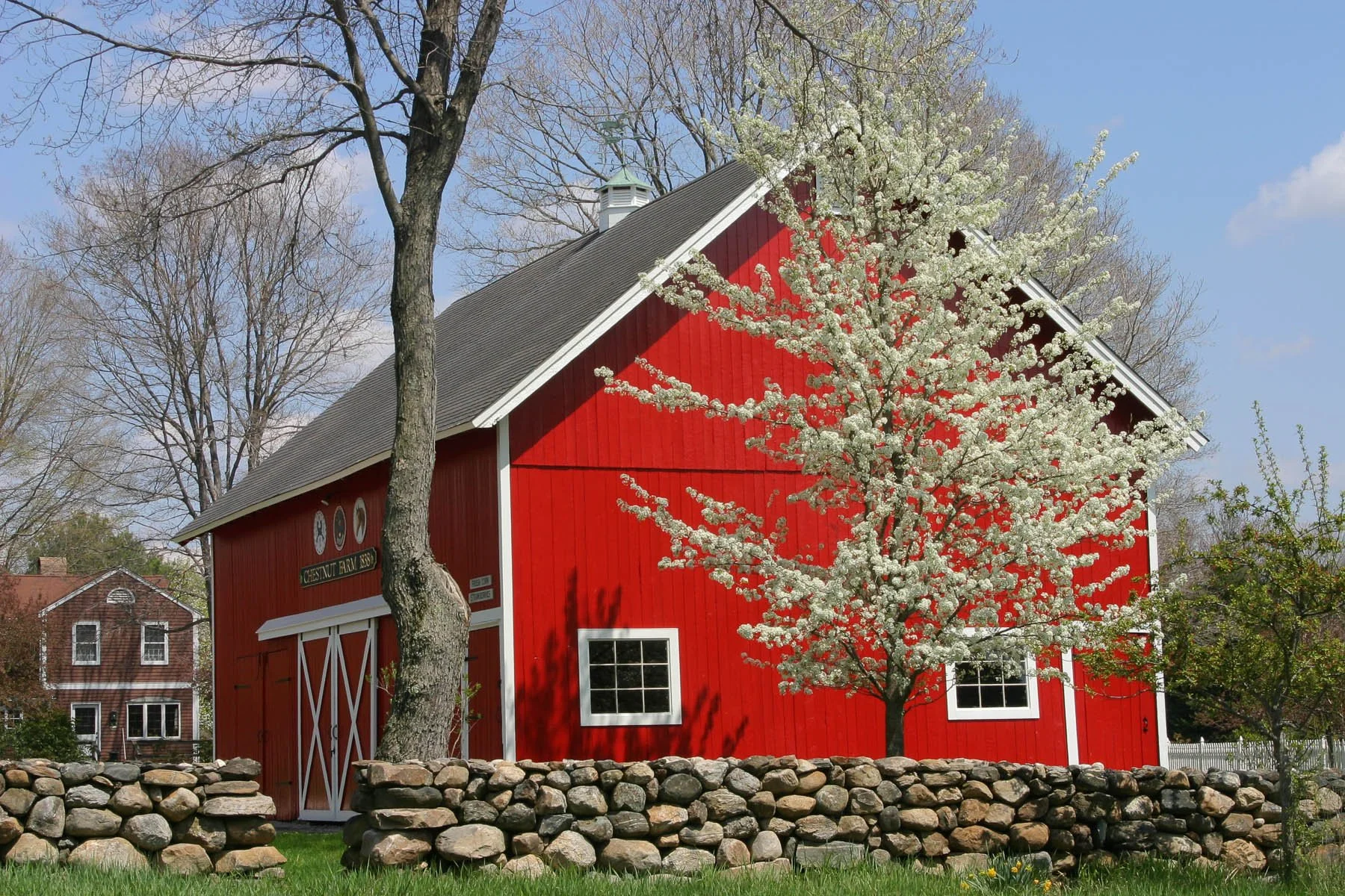 4-chestnut farm2 - Susan Seath - Fairfield County, CT.jpg