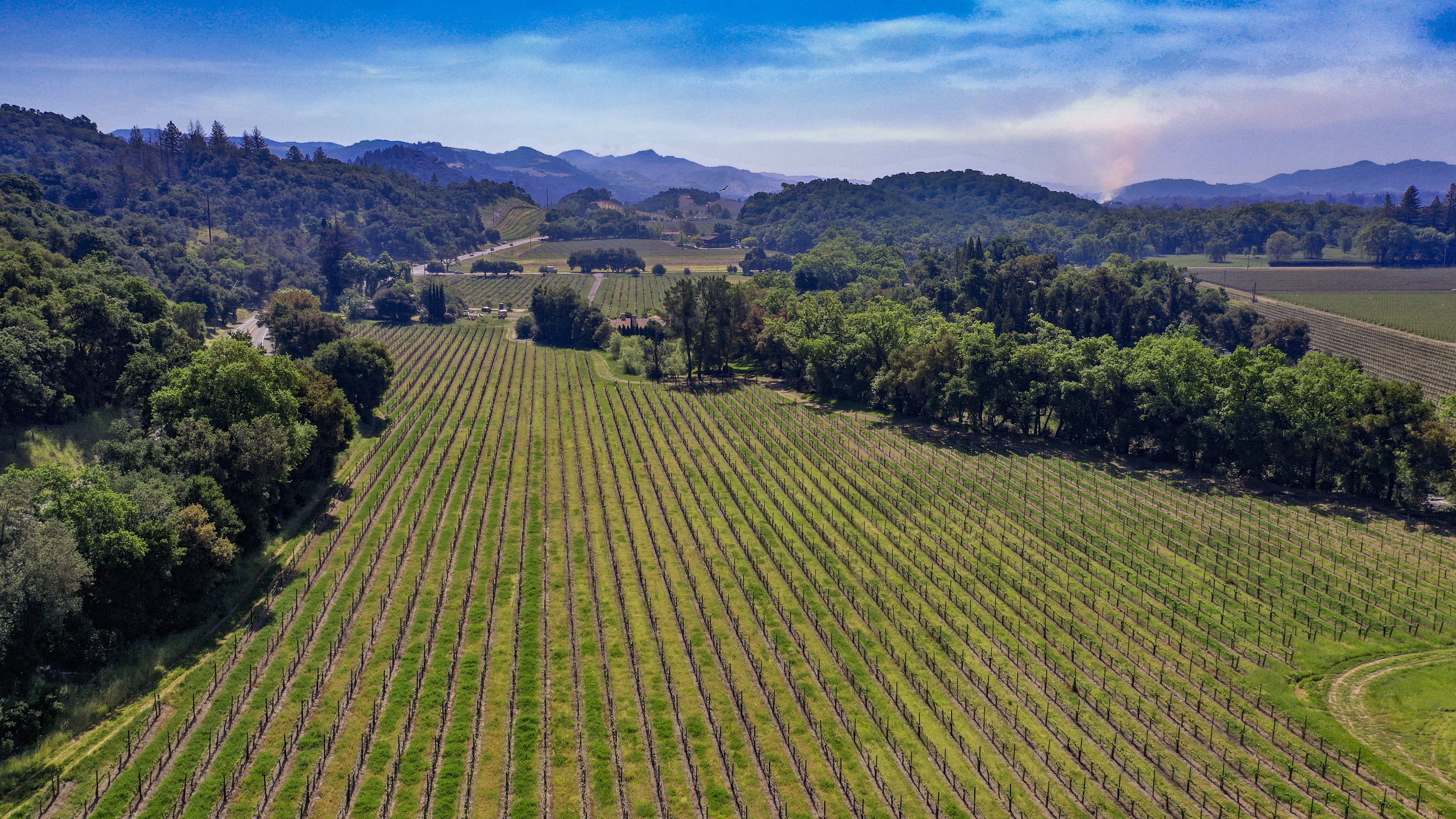 Bart Moore- 3 Zinfandel Ln (3).jpg