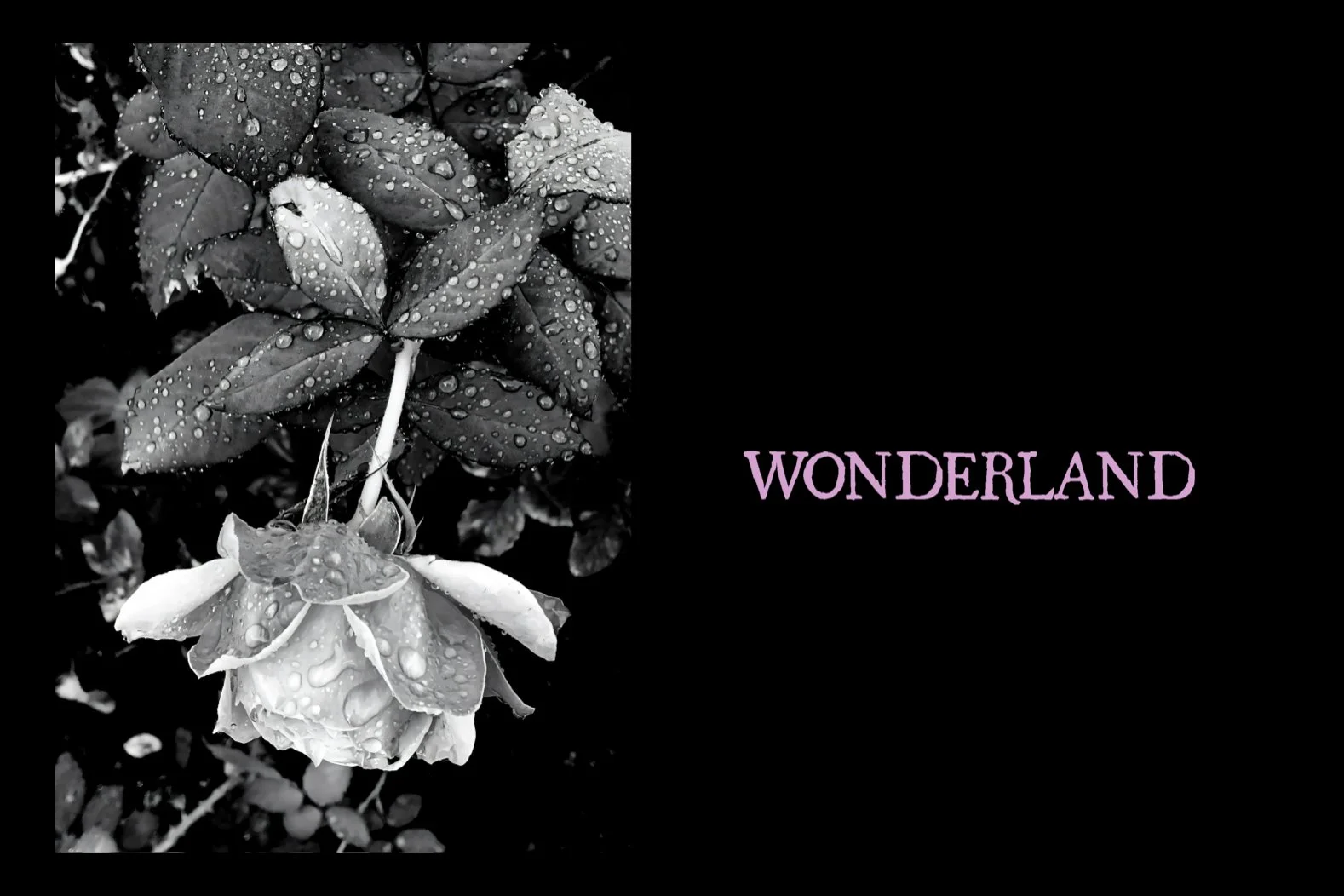 size 3-2 (WEB SITE).001.jpeg