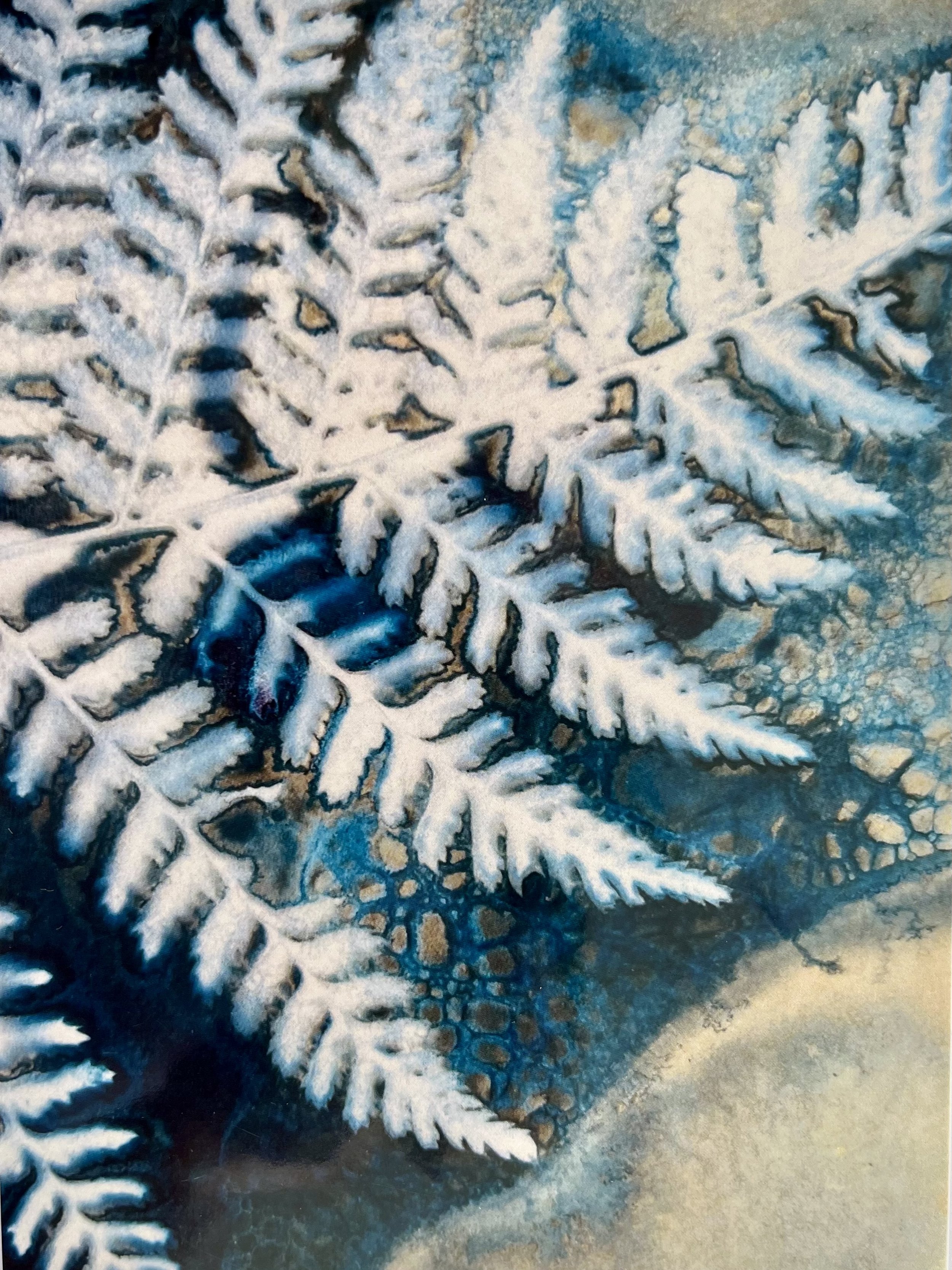 Fern detail Greeting card