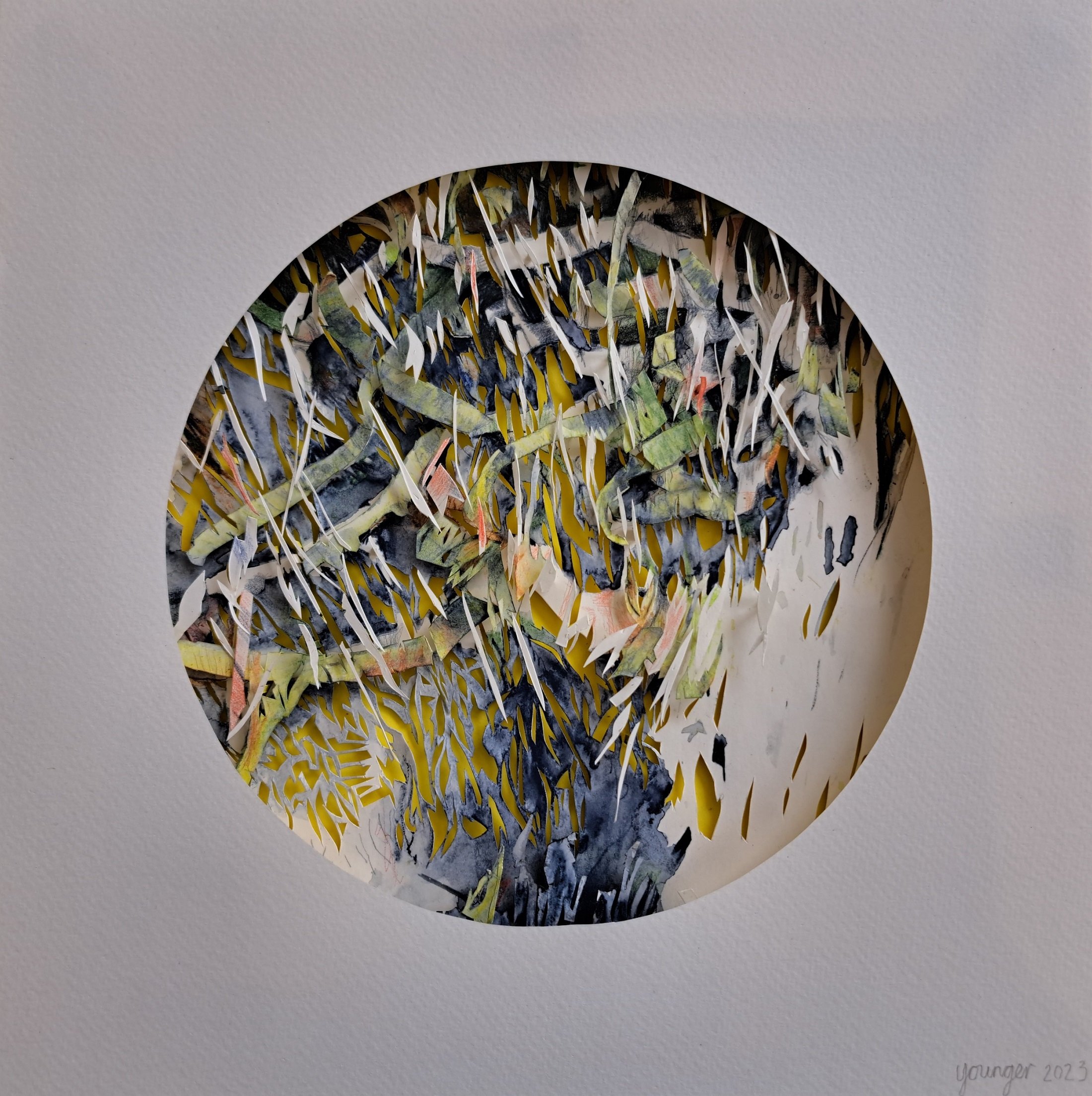 lisa younger, remembering to forget.jpg