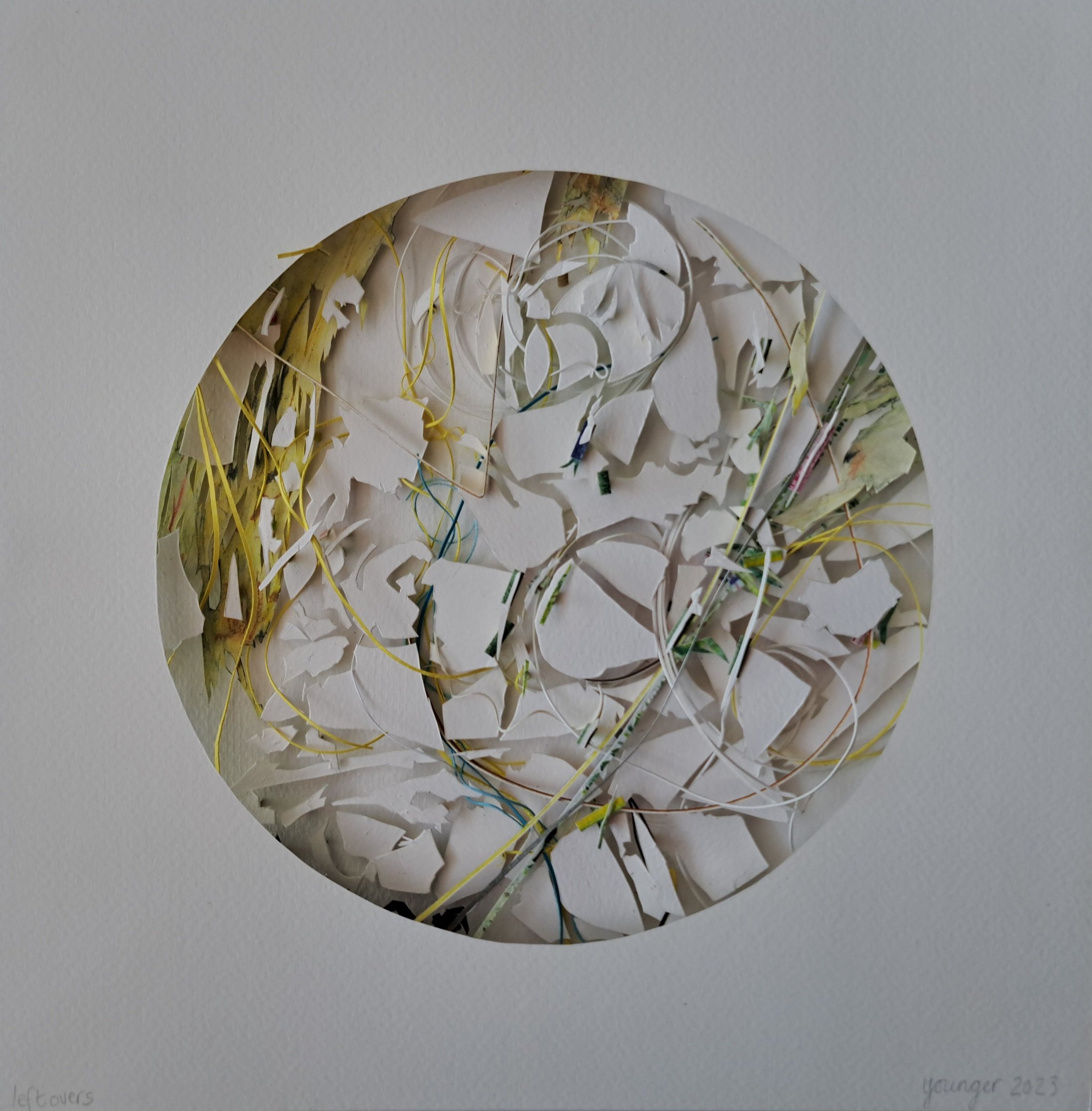 lisa younger, leftovers.jpg