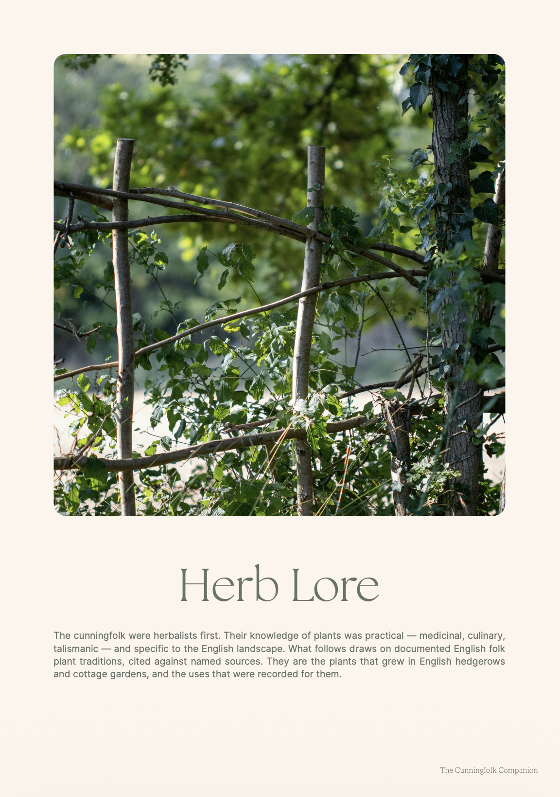 Cunningfolk Companion Herb Intro.png