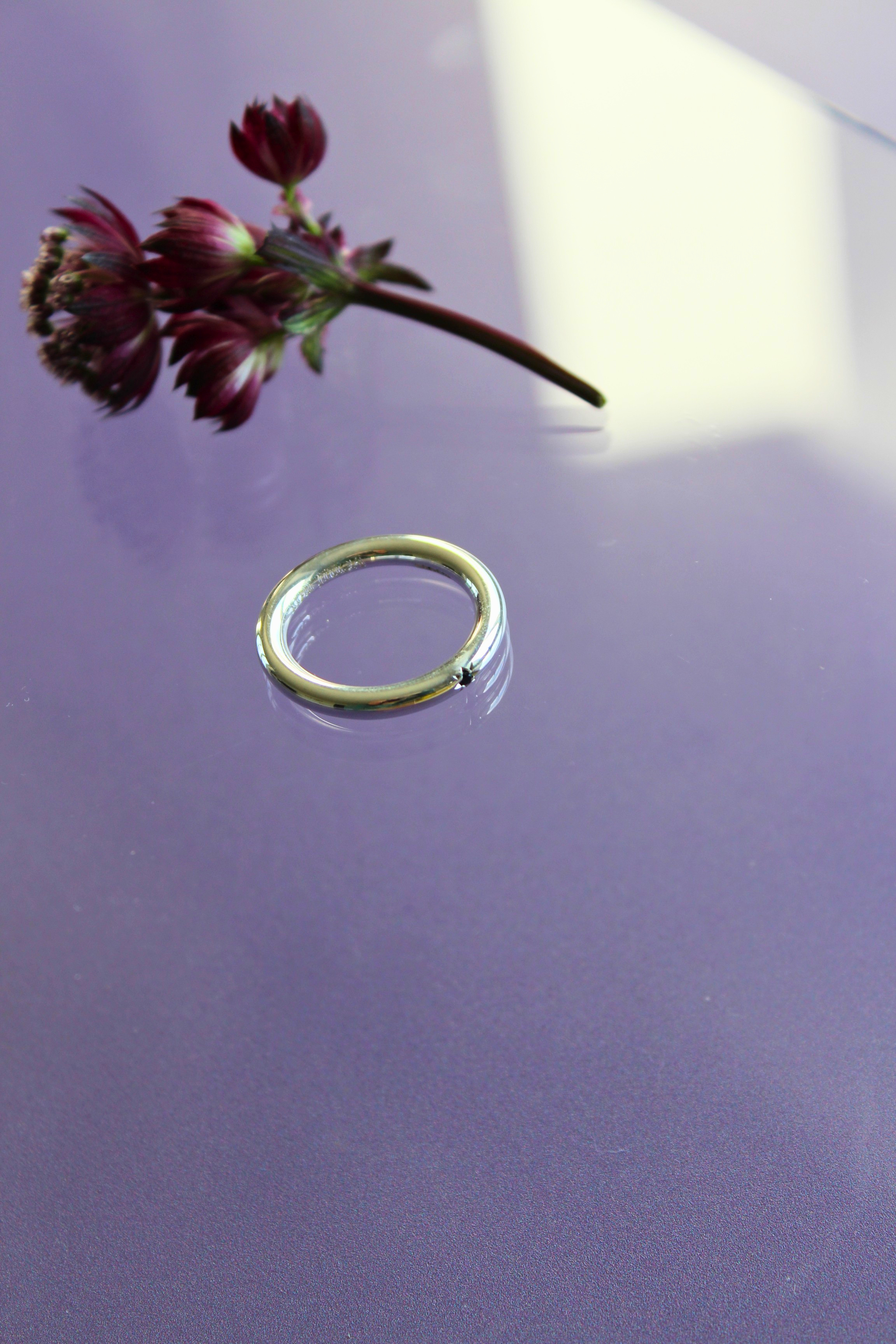 Evening Star Ring 1.png
