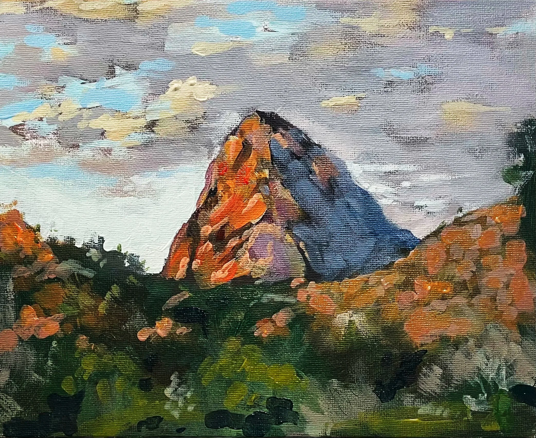 Tibro, 2023, Acrylic on board, 20x25cm