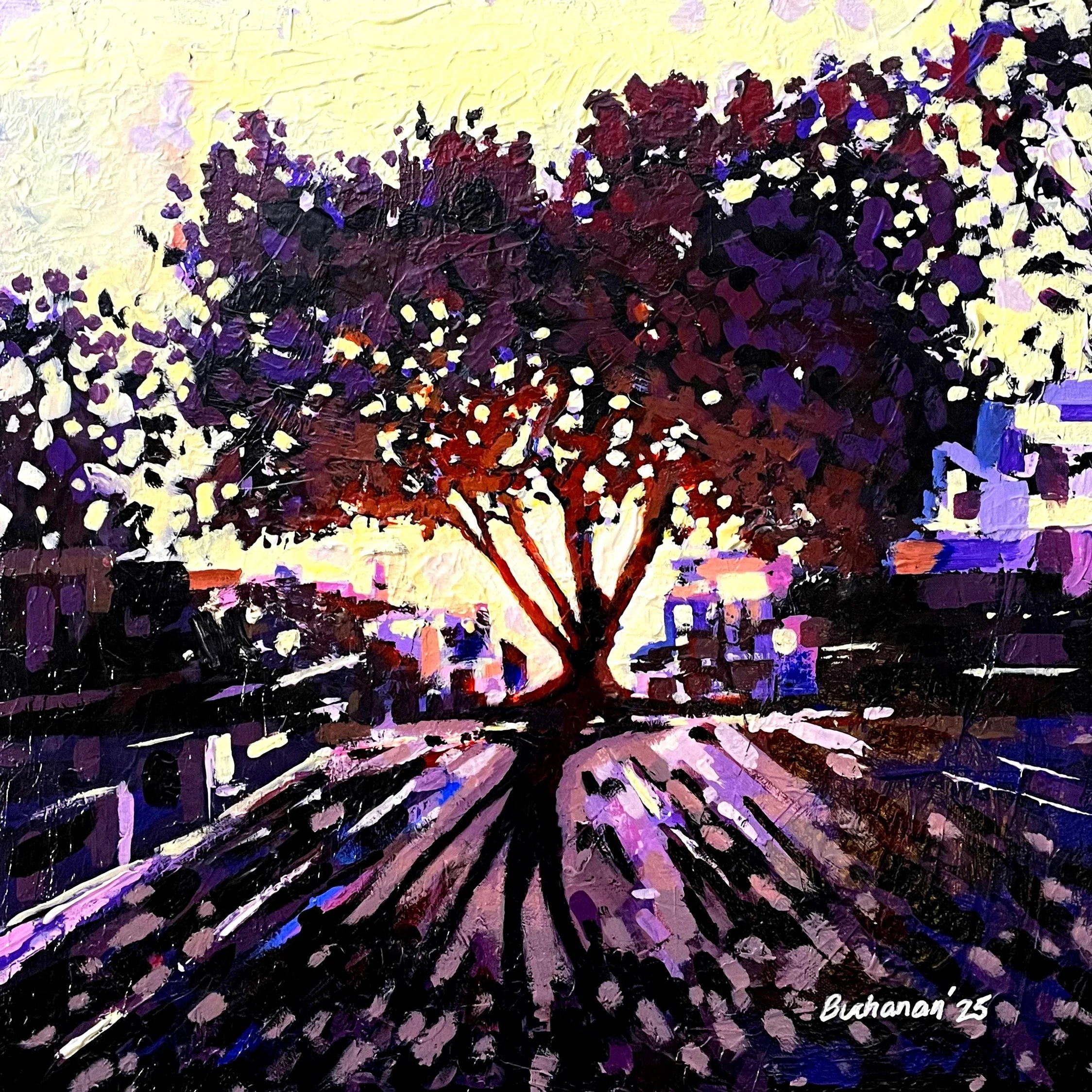 SOLD, Heaven's Light At 5.27pm, 2025, acrylic on canvas, 500x500cm 