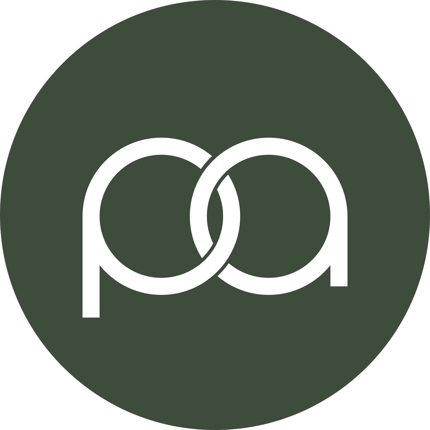 Palmieri Anderson Automobili