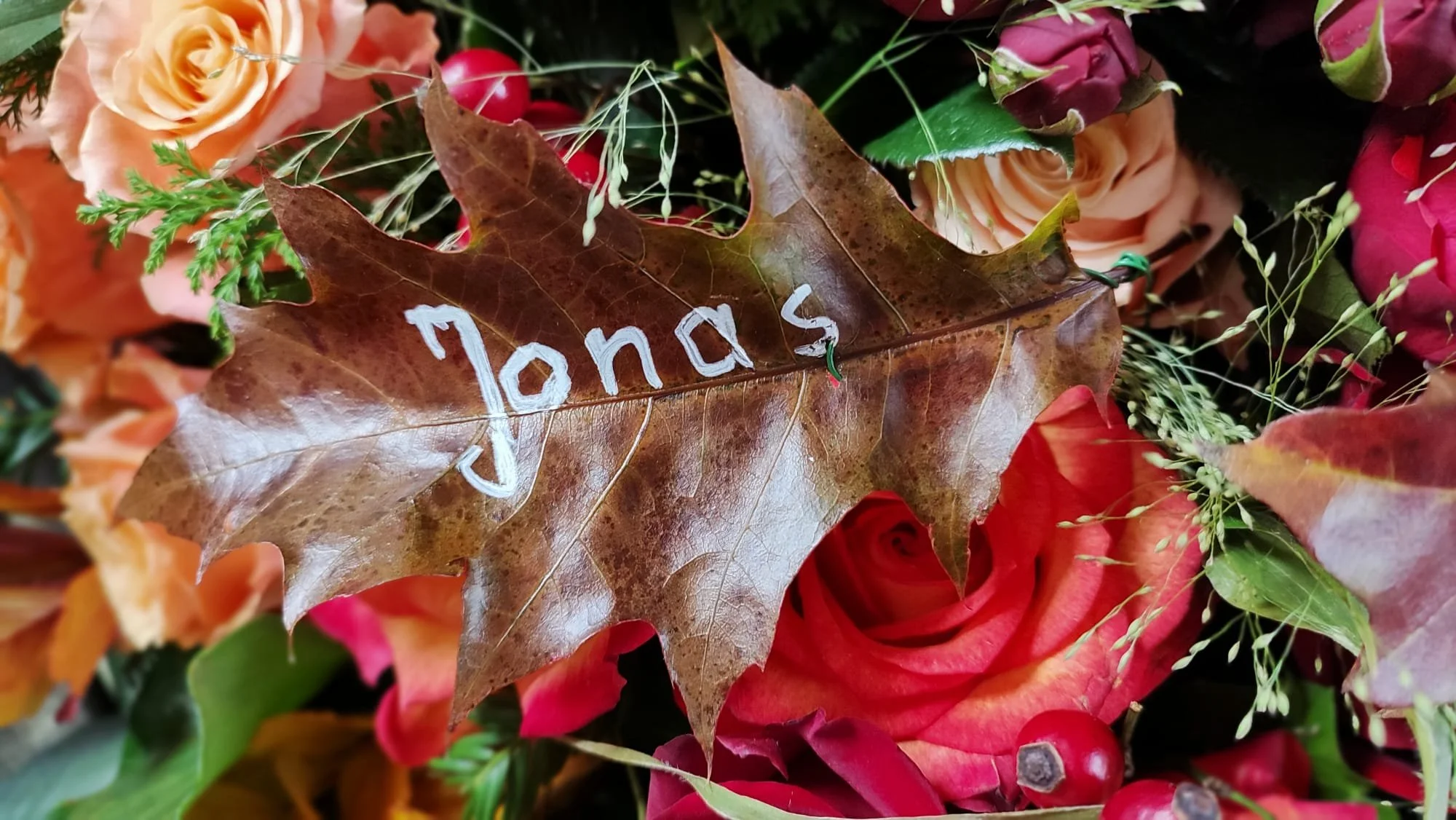 PHOTO-2023-11-04-12-56-10 (2).jpg