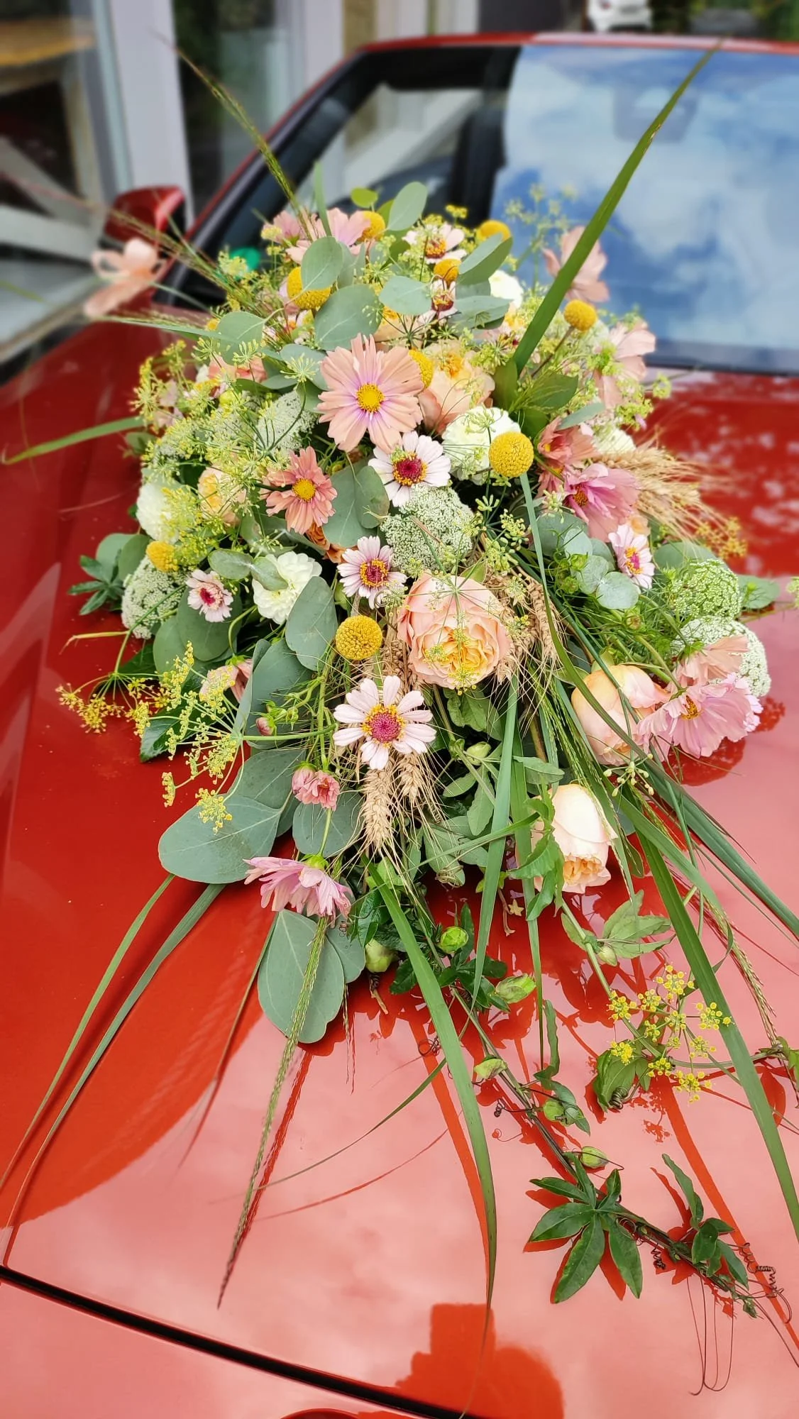 PHOTO-2023-08-16-14-34-26 (2).jpg