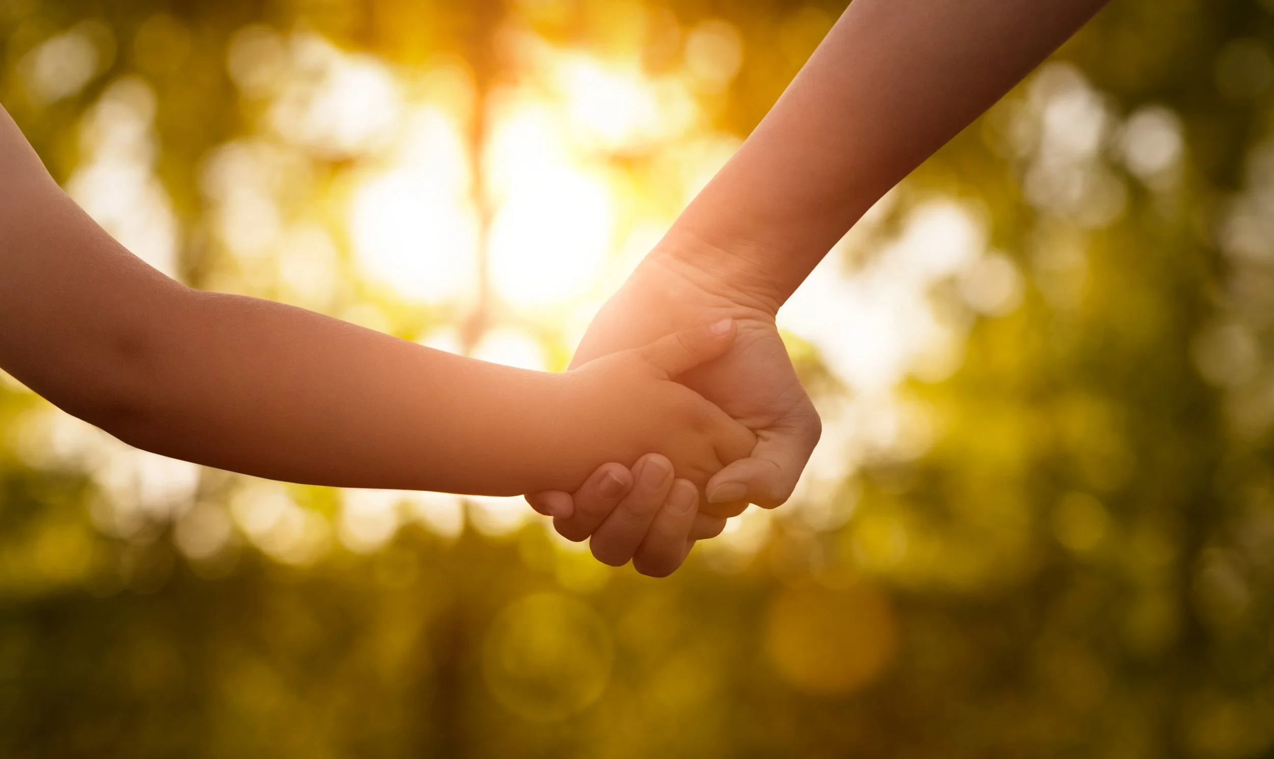 The Custody Coach What Family Law Services Do You Offer