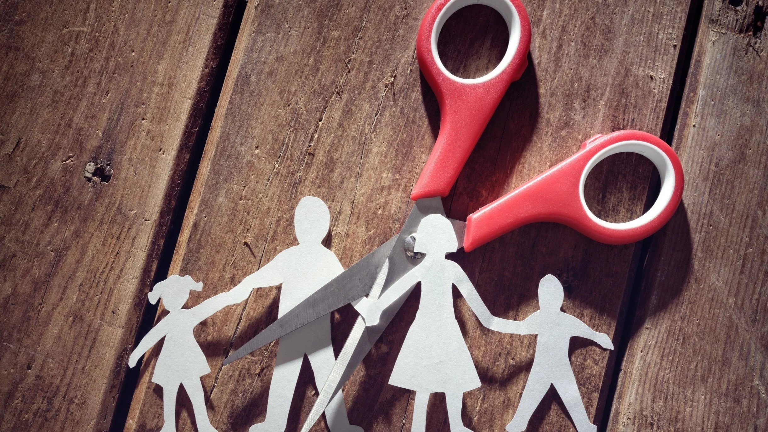 The Custody Coach Family Law McKenzie Friend Information