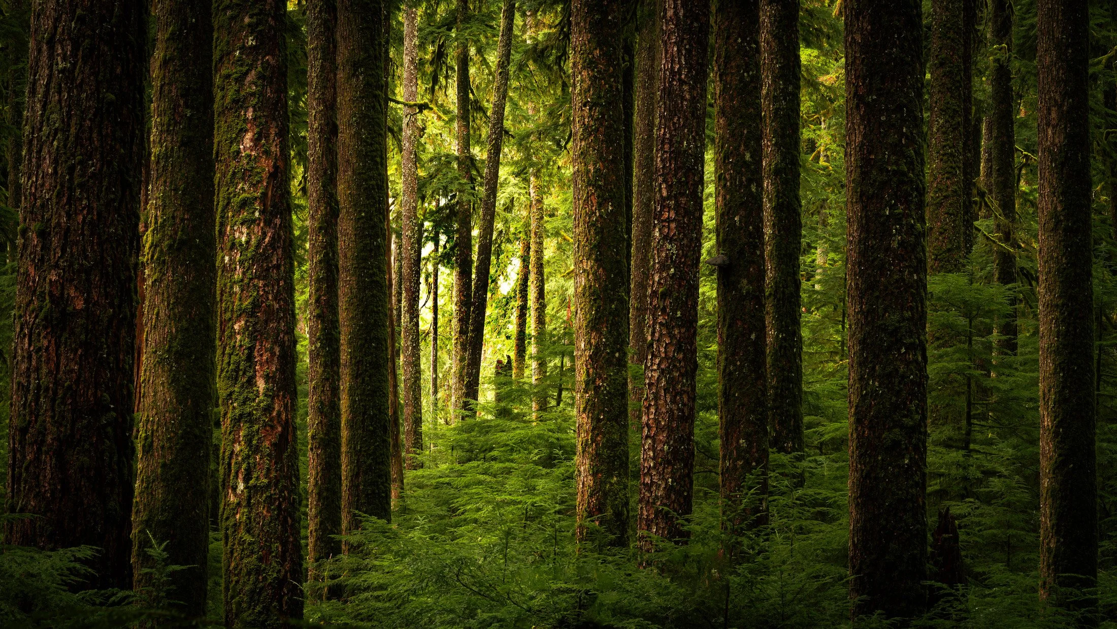 Washington, USA
