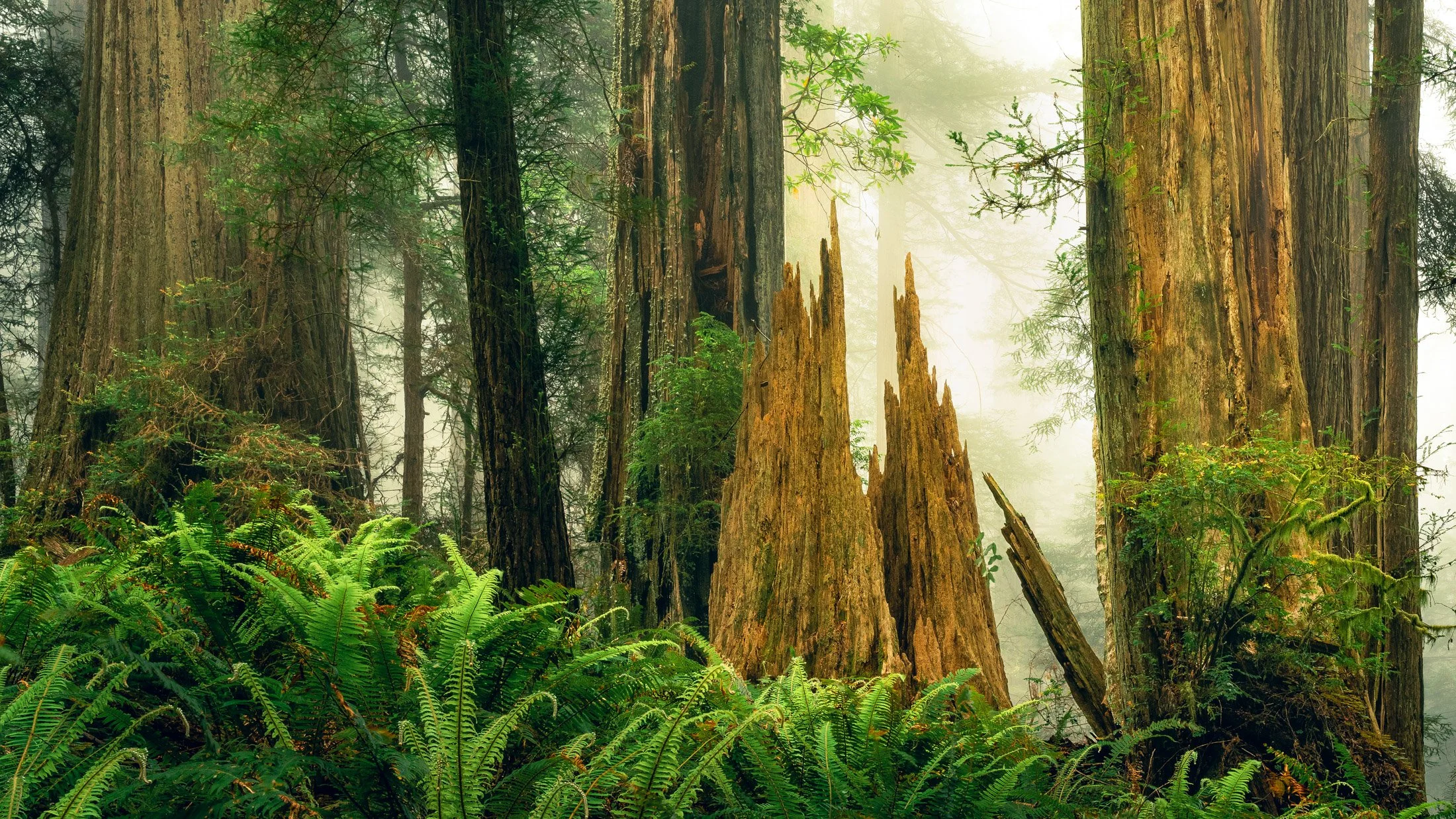 California, USA