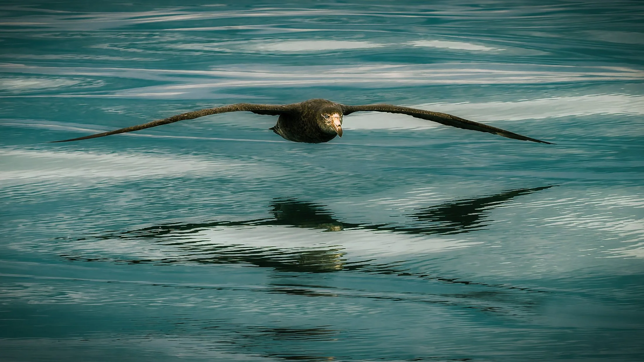 New Zealand
