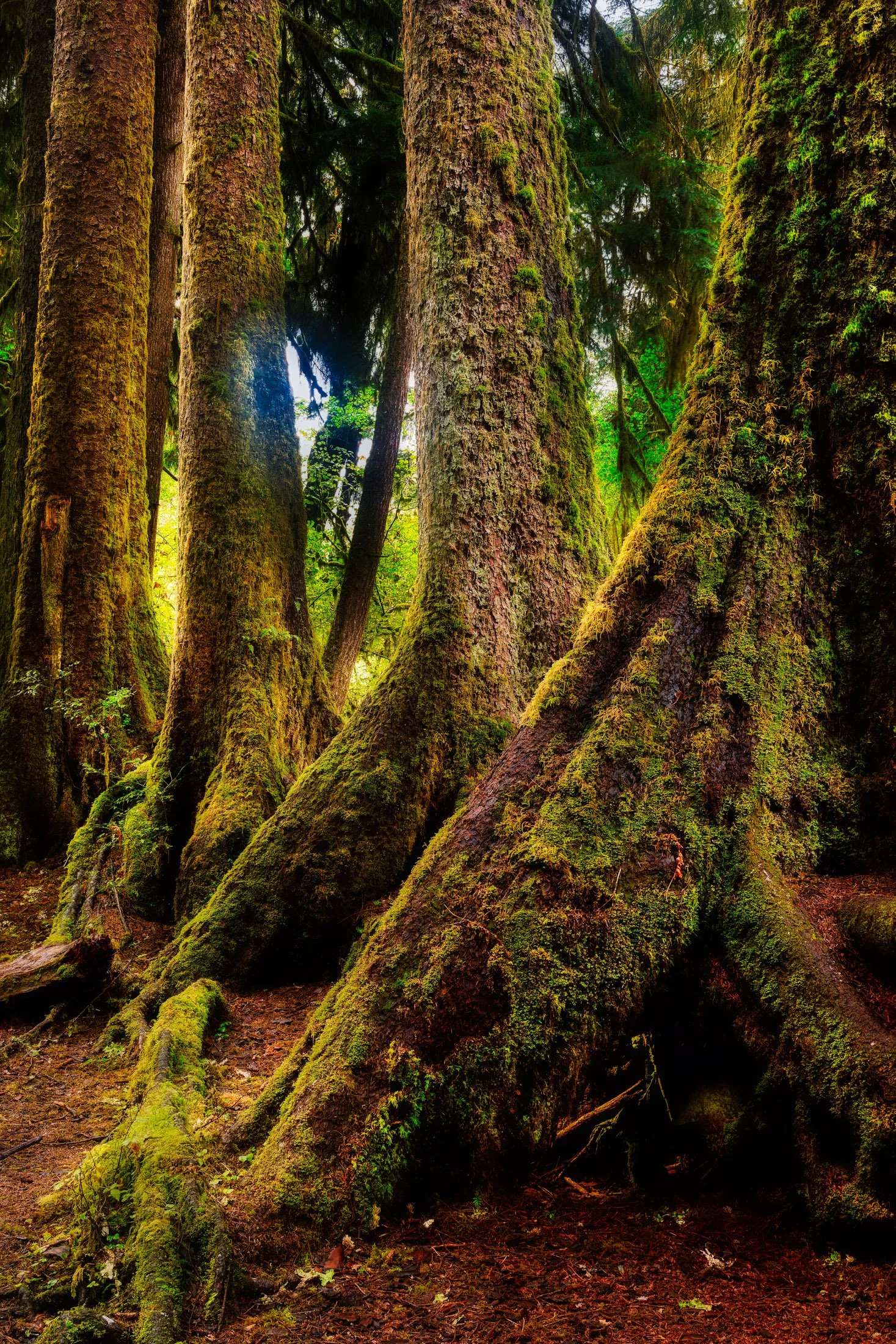 Washington, USA