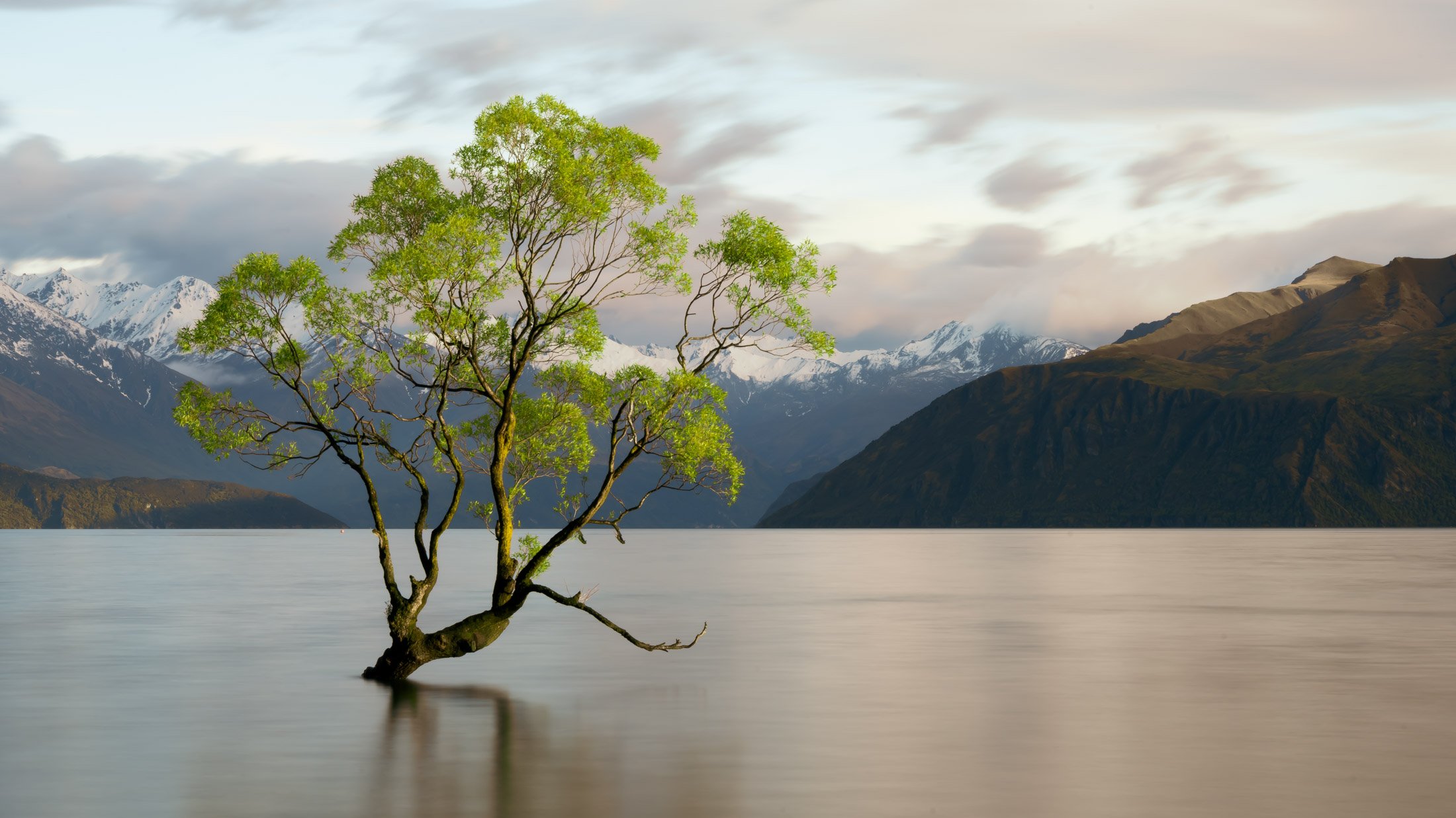 New Zealand