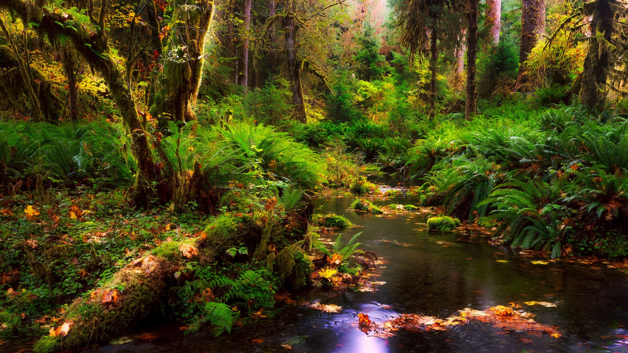 Washington, USA