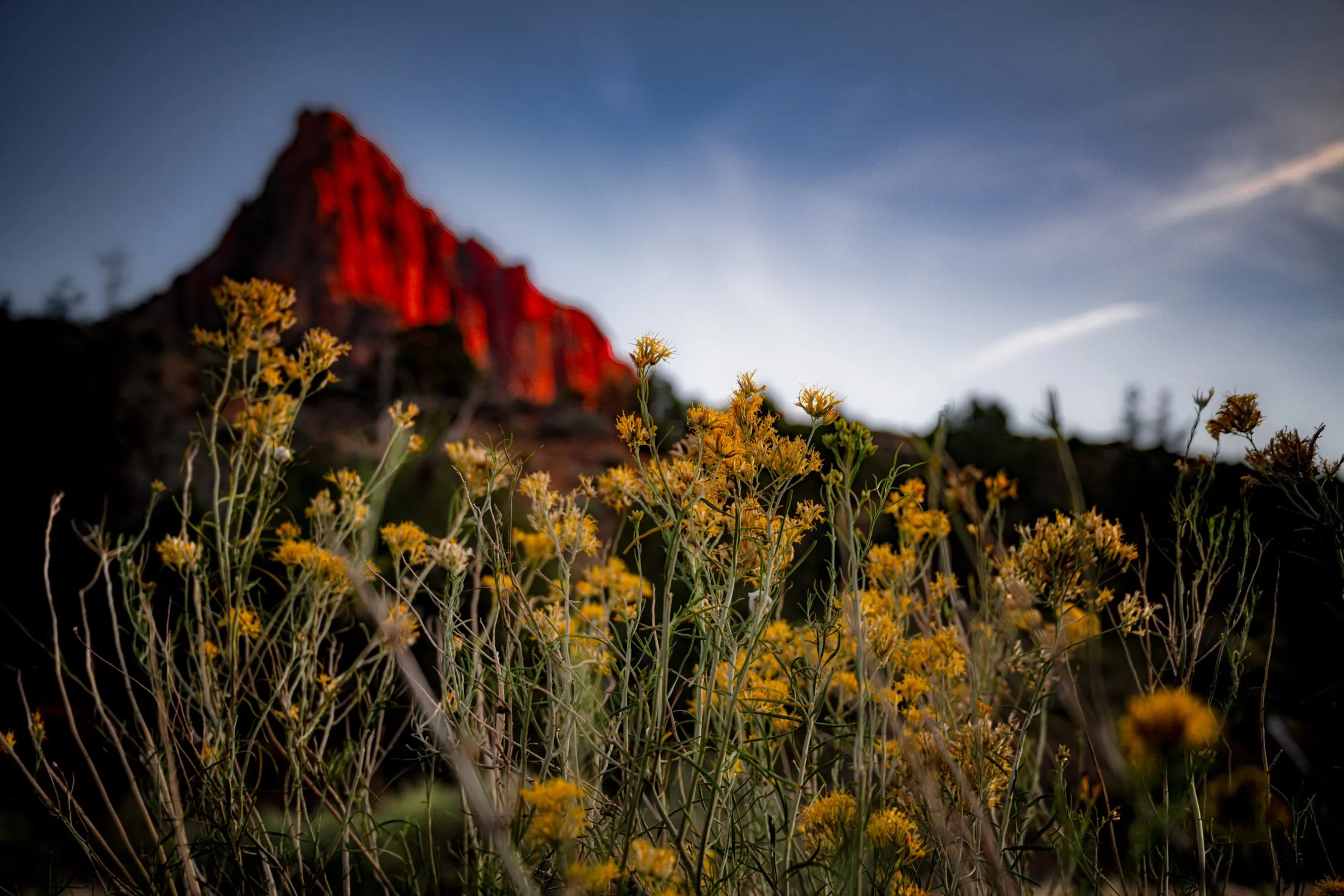 Utah, USA