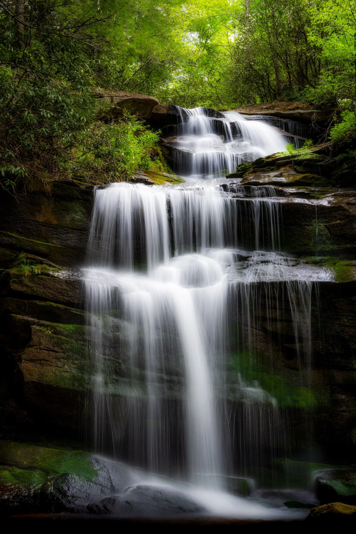 North Carolina, USA