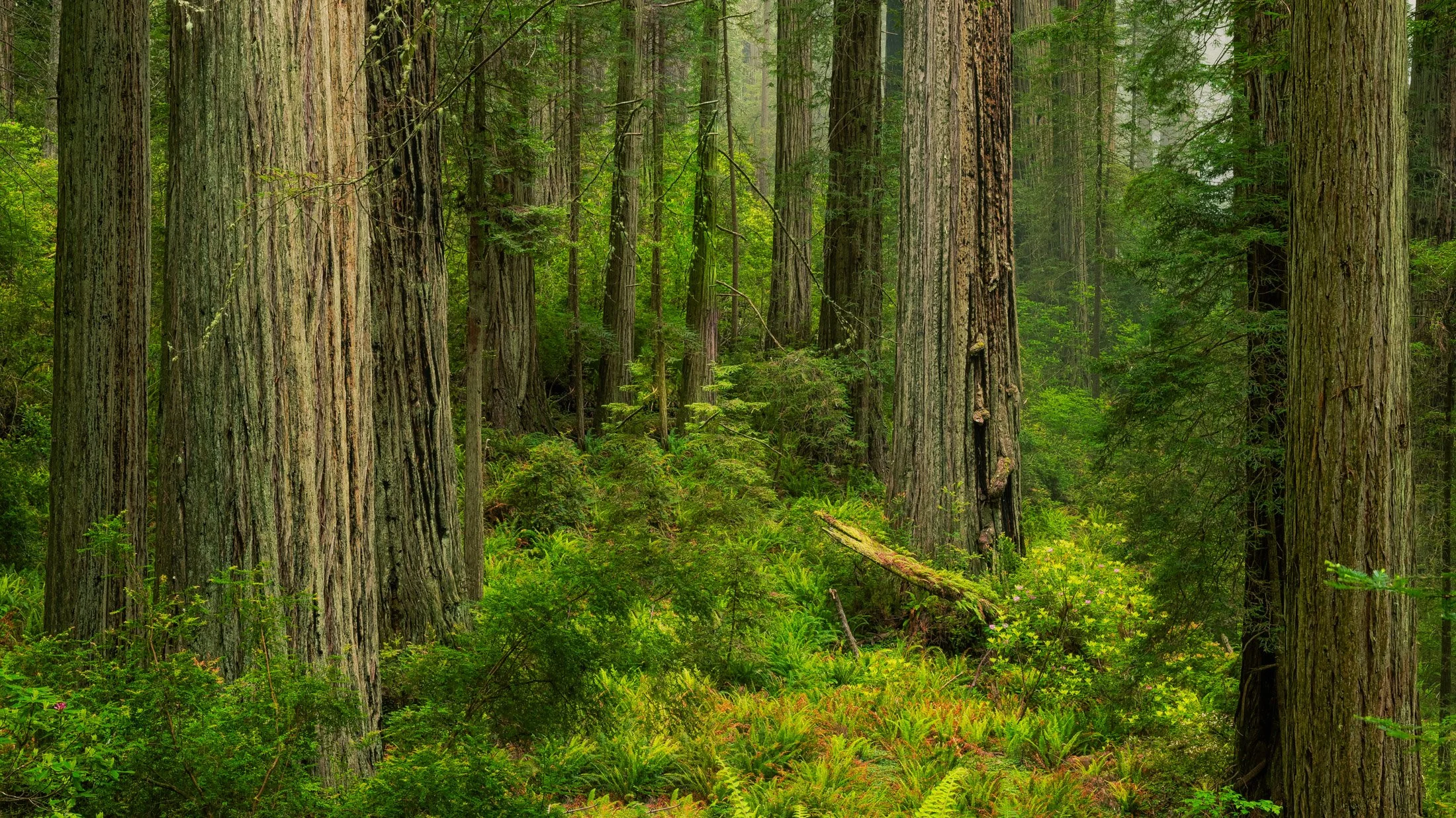 California, USA