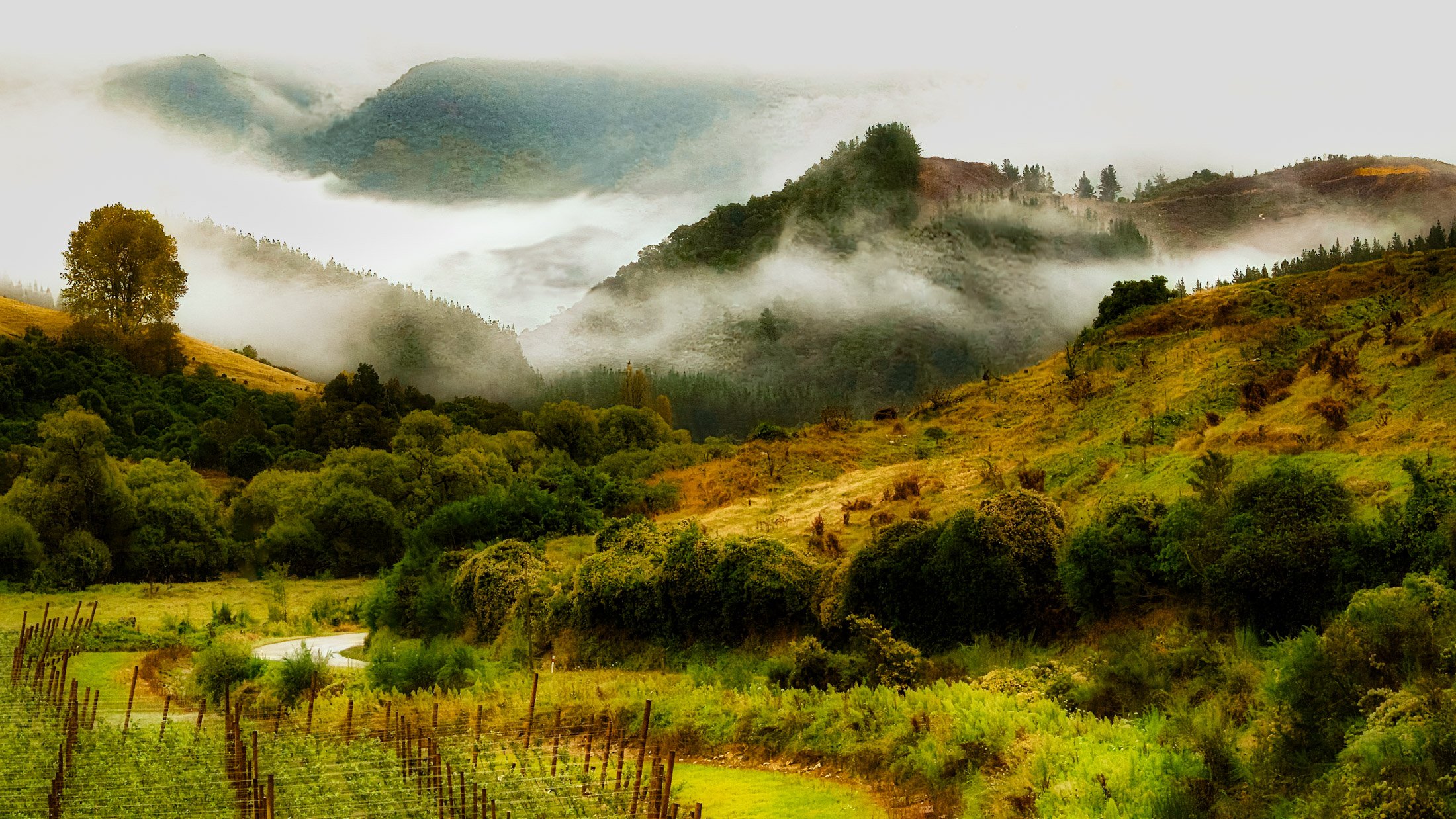 New Zealand