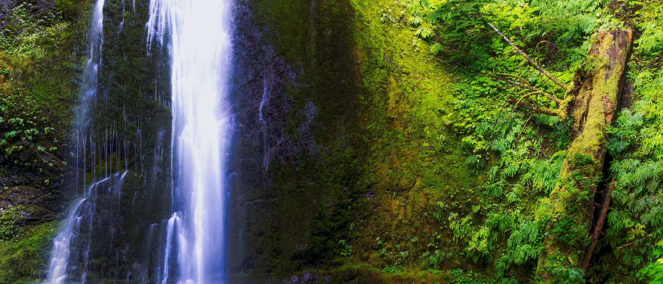 Washington, USA