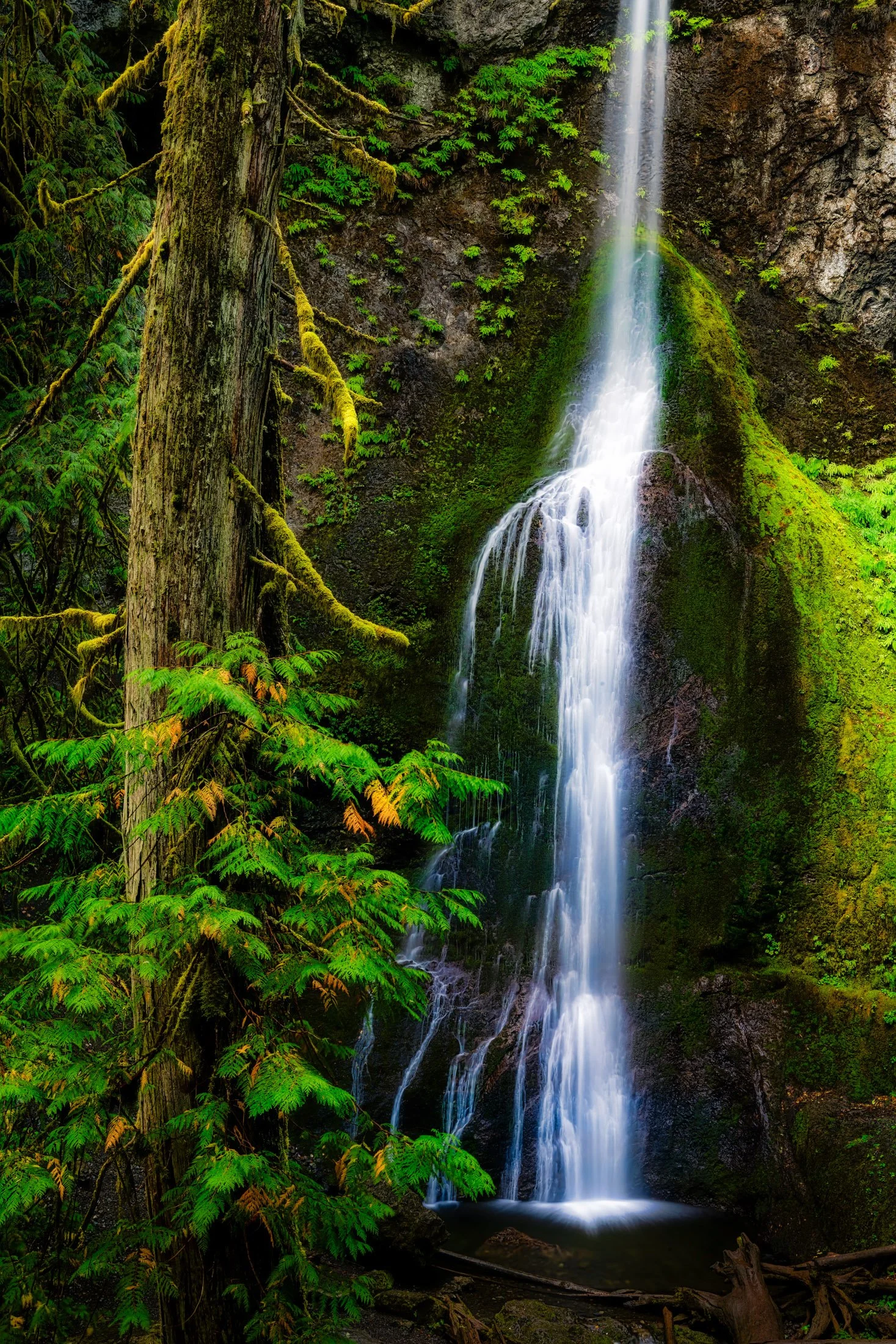 Washington, USA