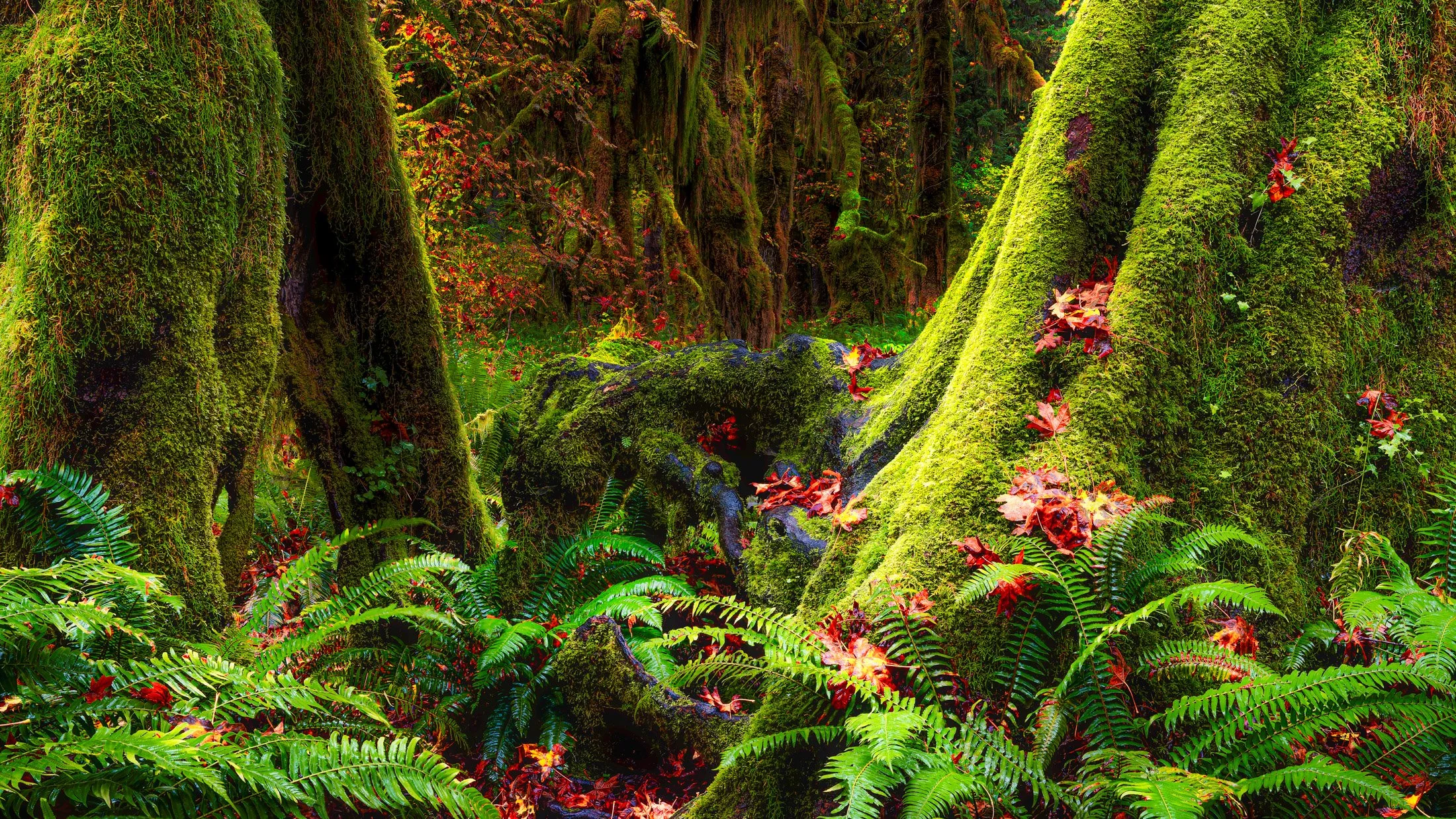Washington, USA