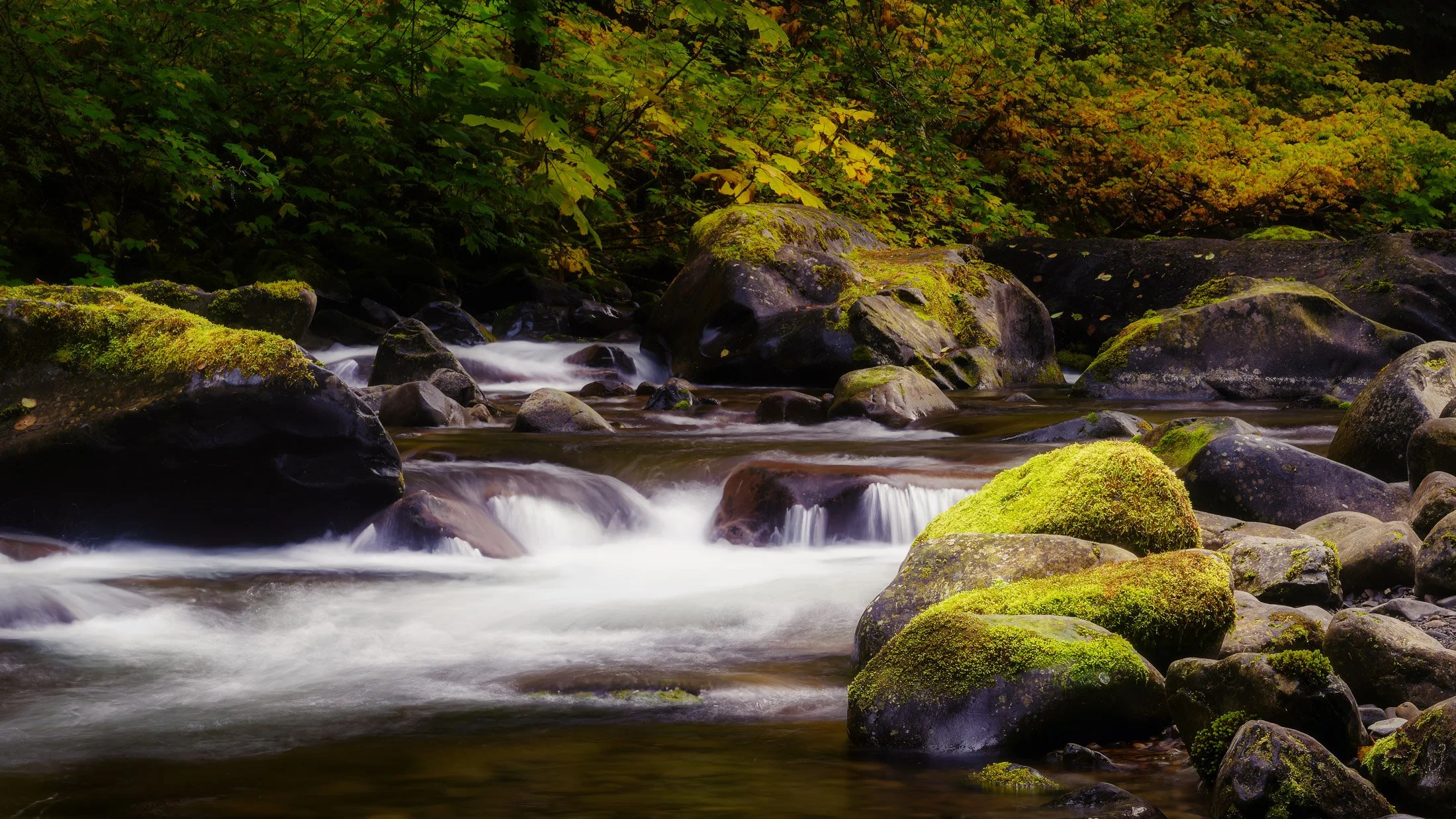 Washington, USA