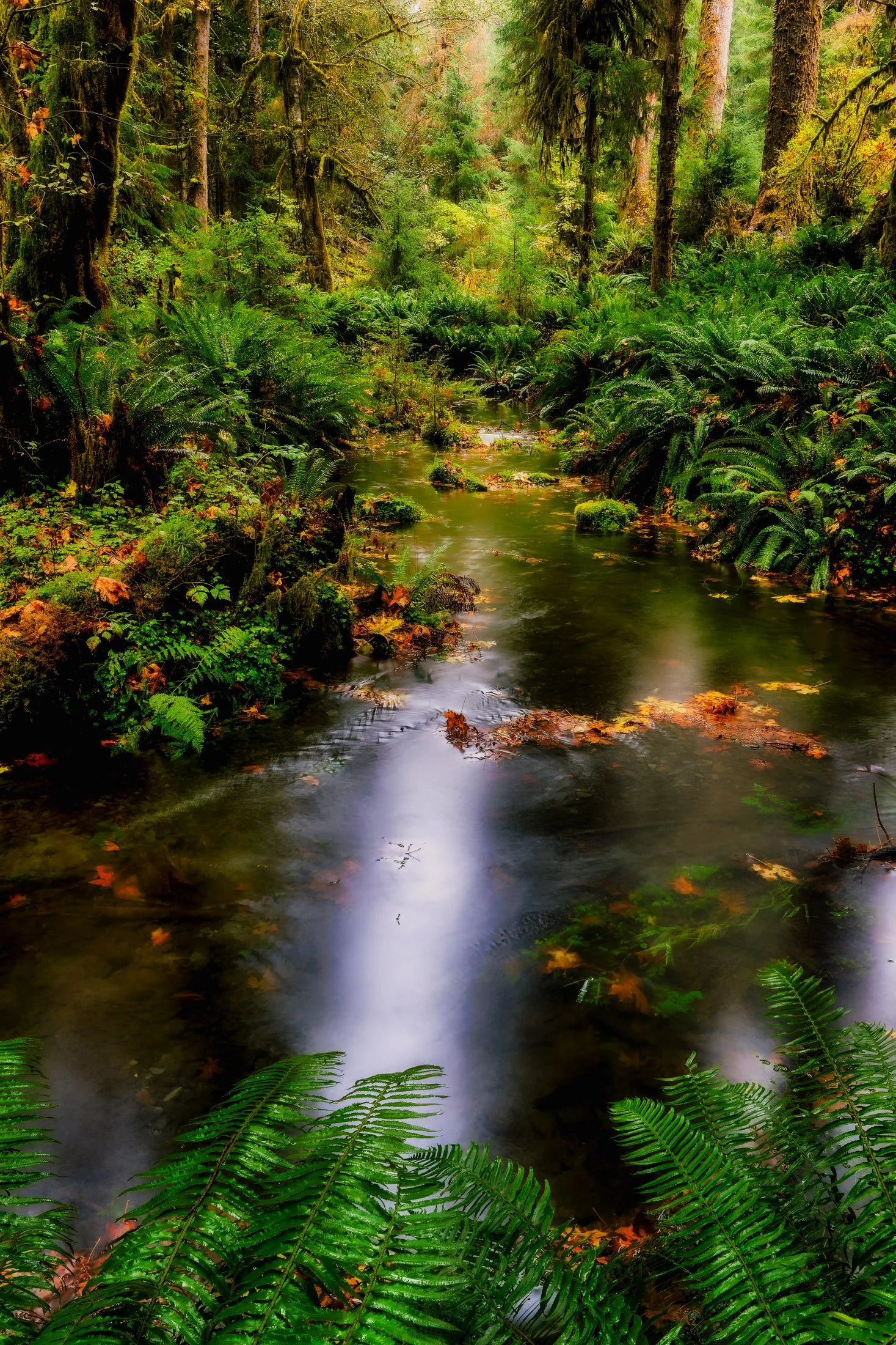 Washington, USA