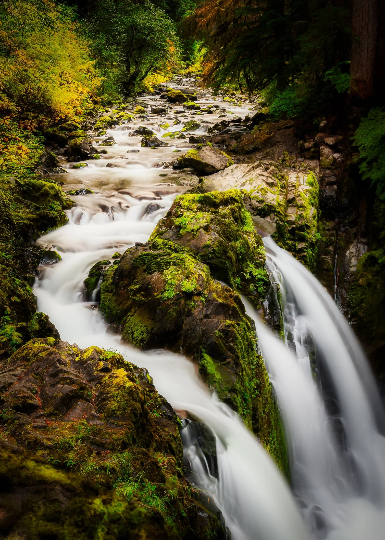 Washington, USA