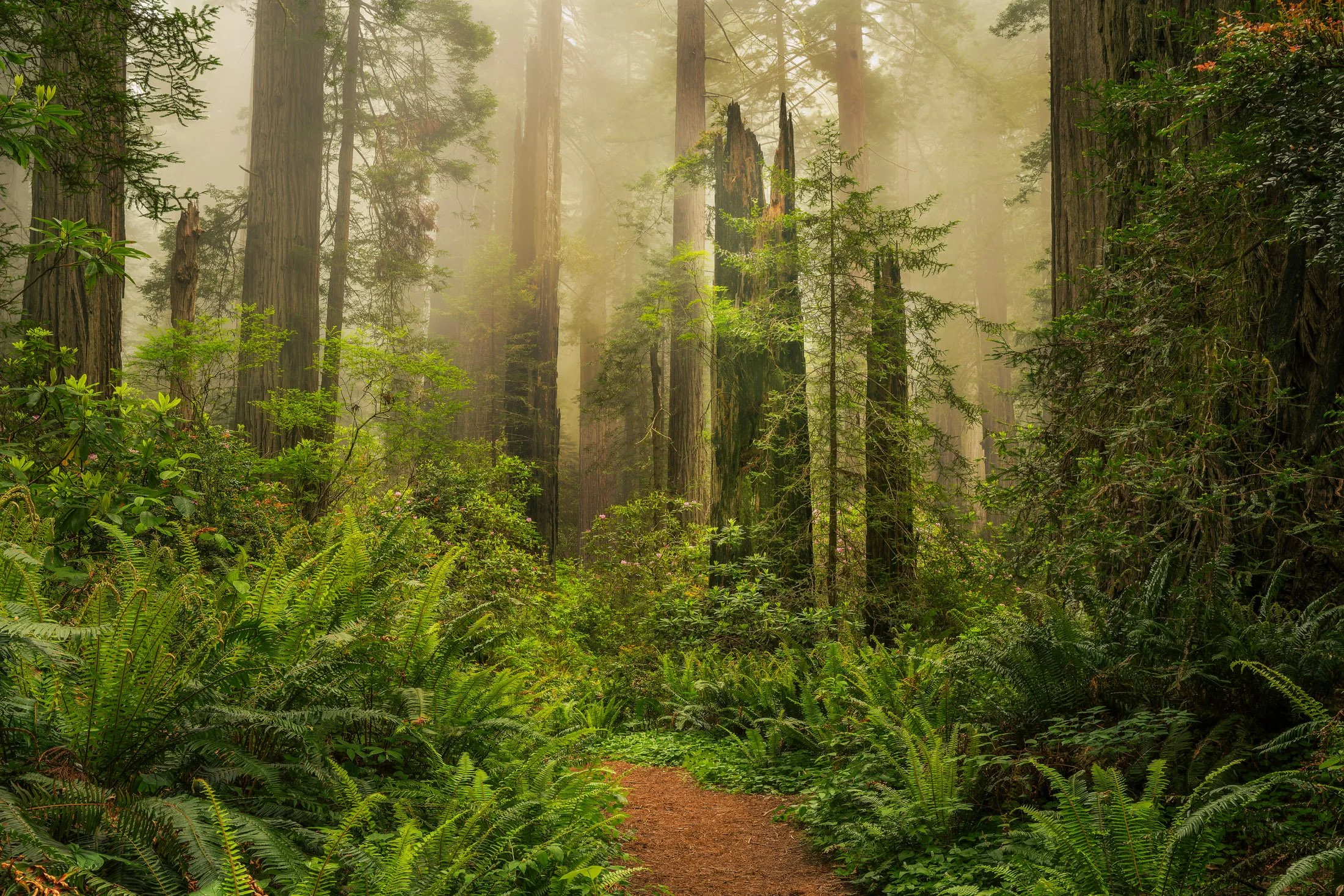California, USA