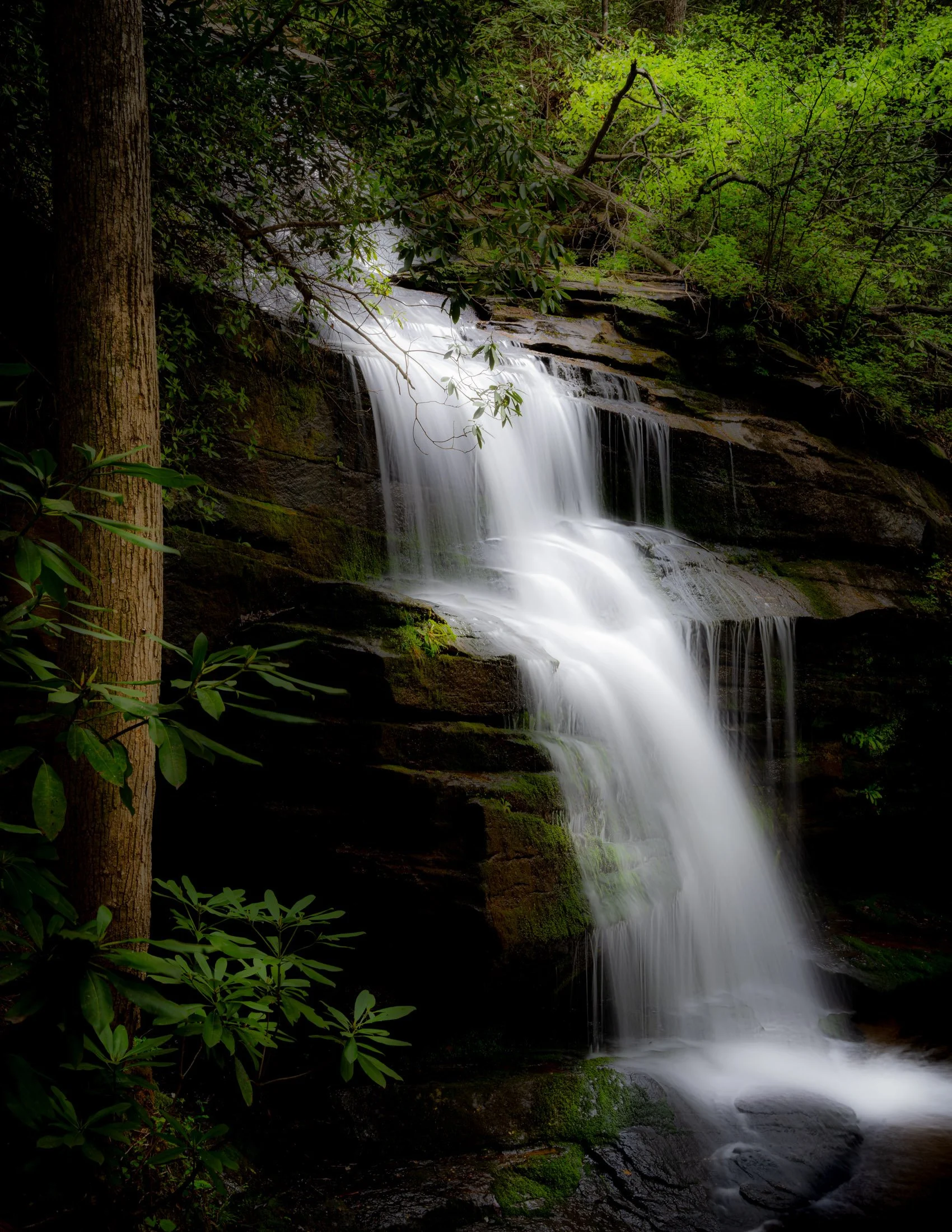 North Carolina, USA