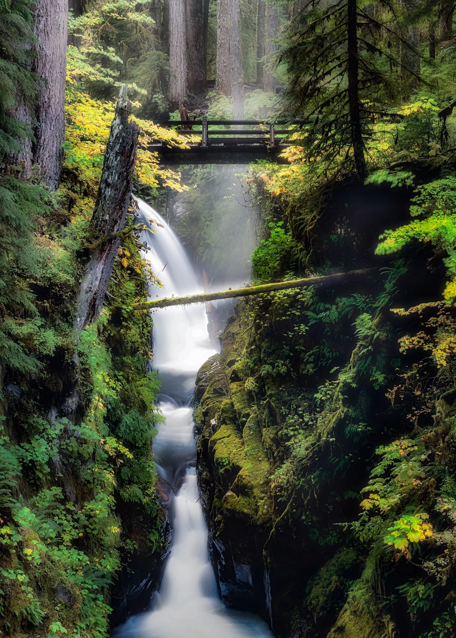 Washington, USA