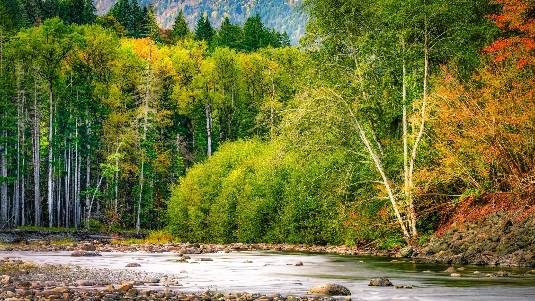 Washington, USA