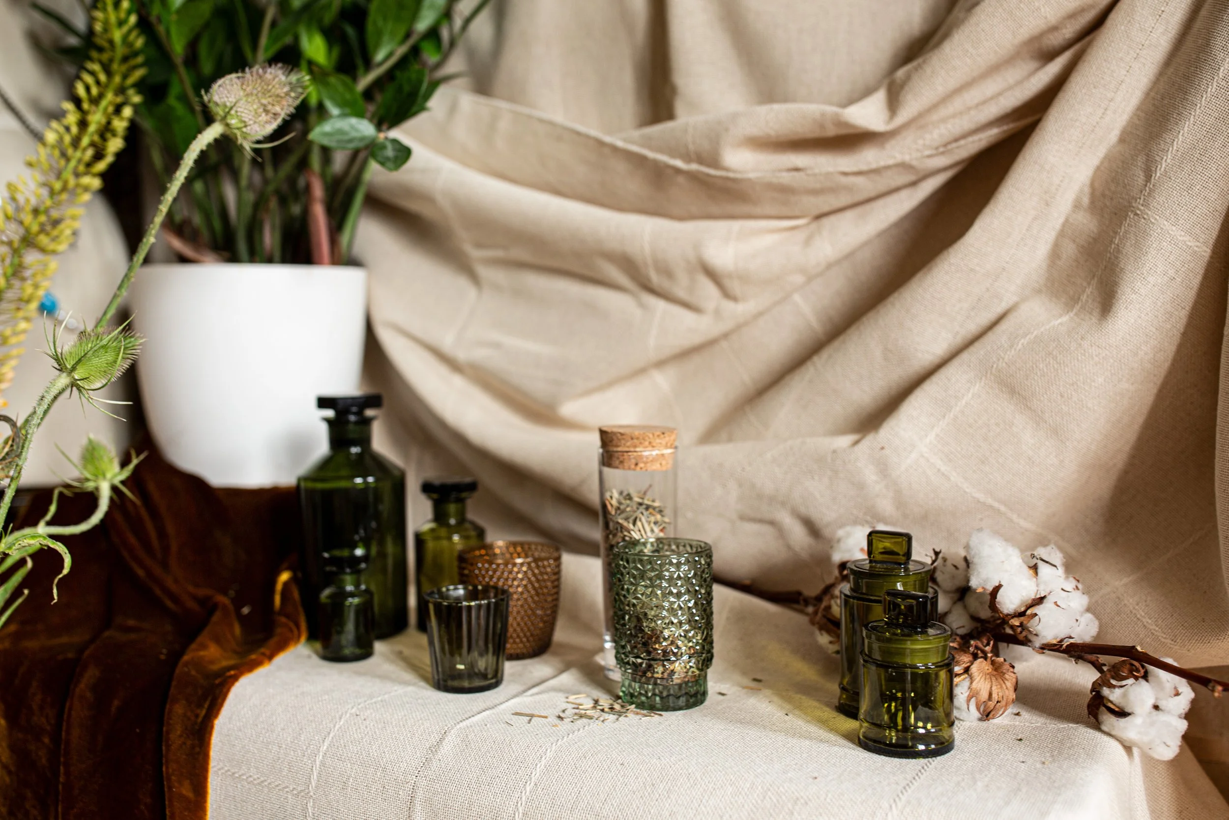 Ceremonial glasses and apothecary jars arranged on a canvas and velvet altar with various dried herbs and plants