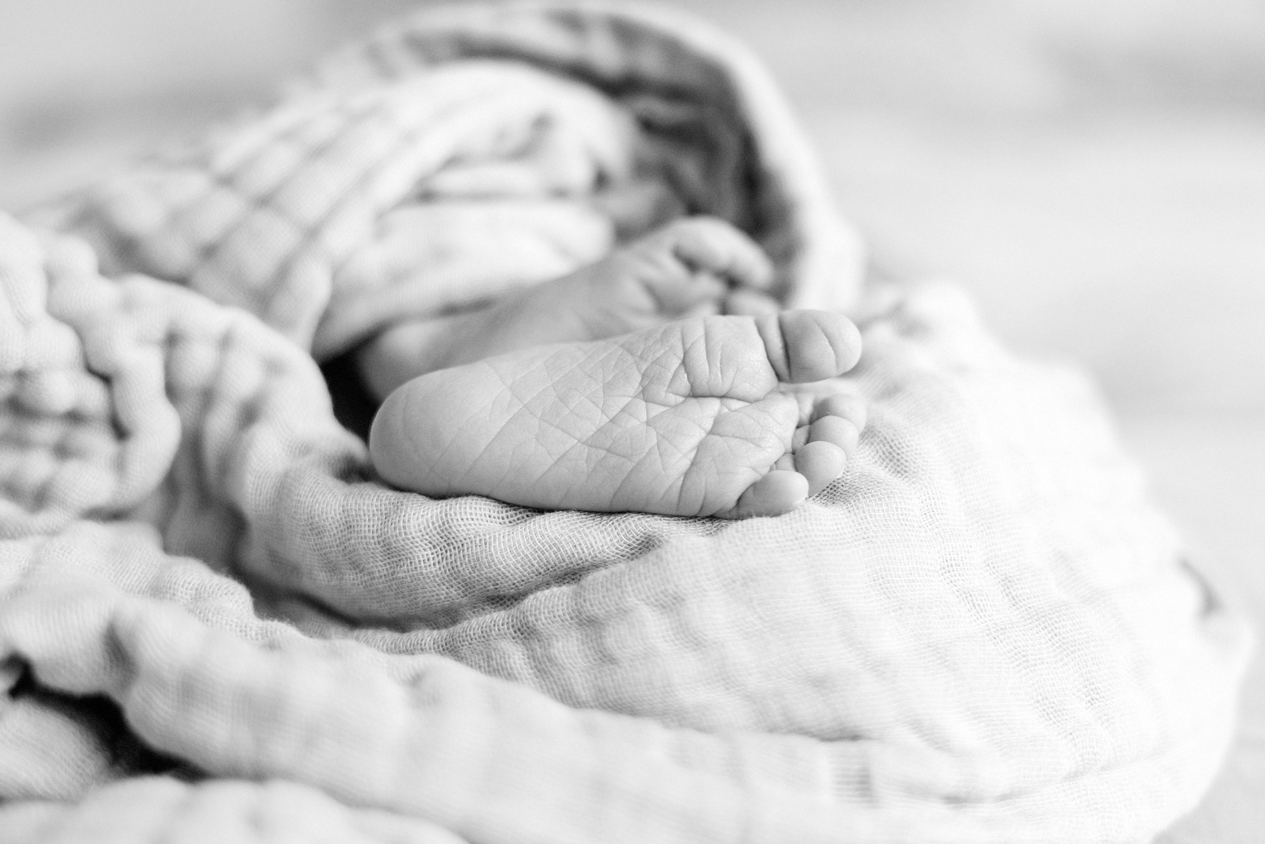 B&W-Elliot-4.jpg