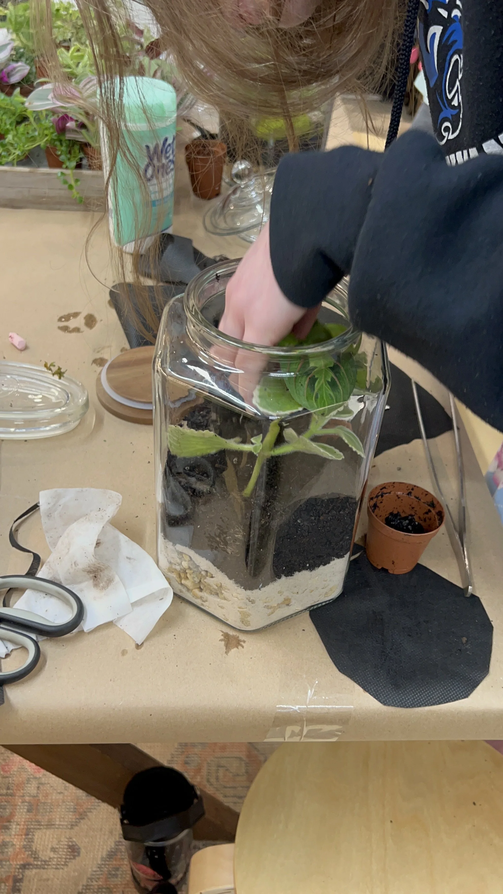 Friday Eveing Terrarium Creation Workshop