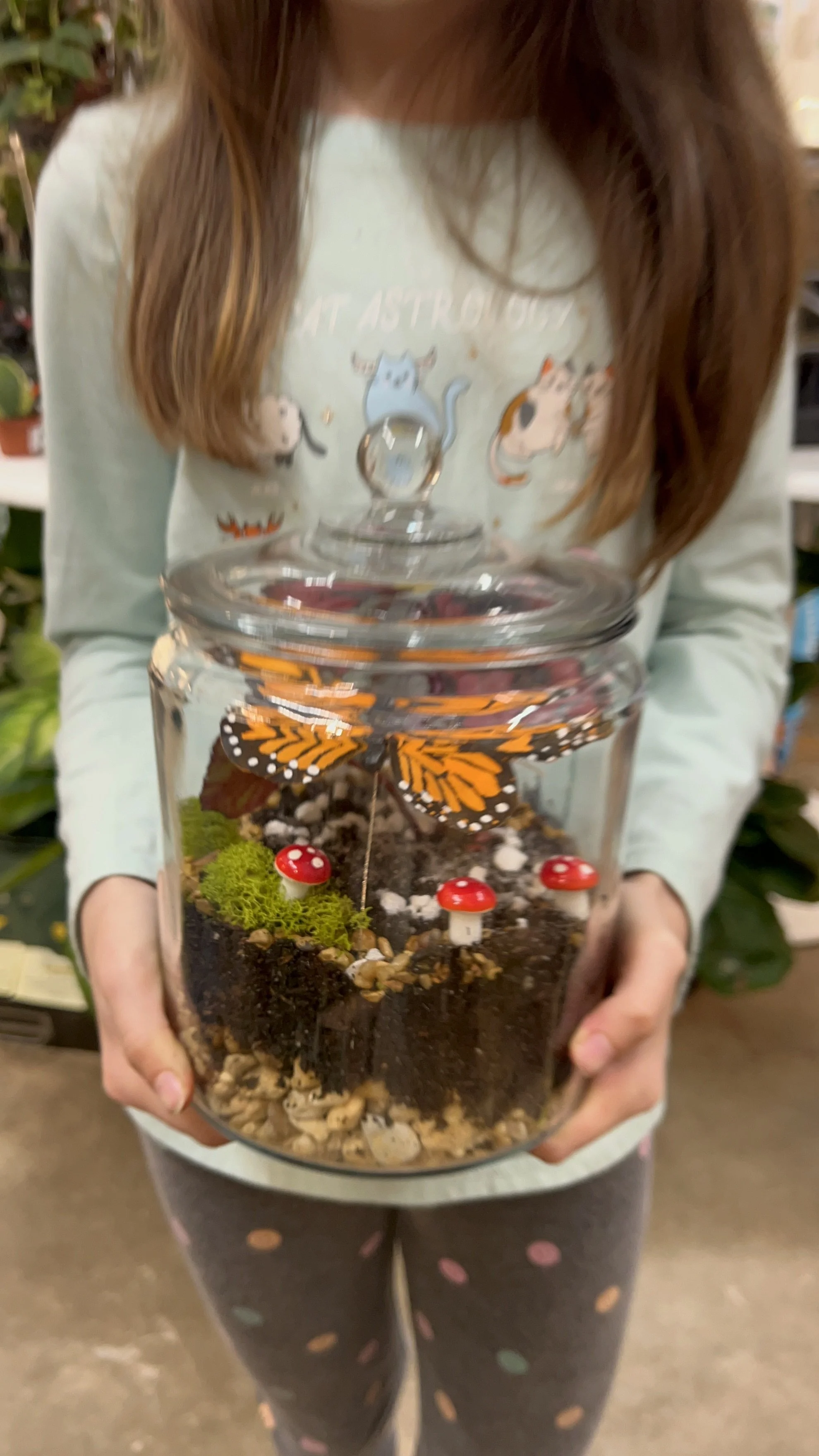 Saturday morning Terrarium Creation Workshop
