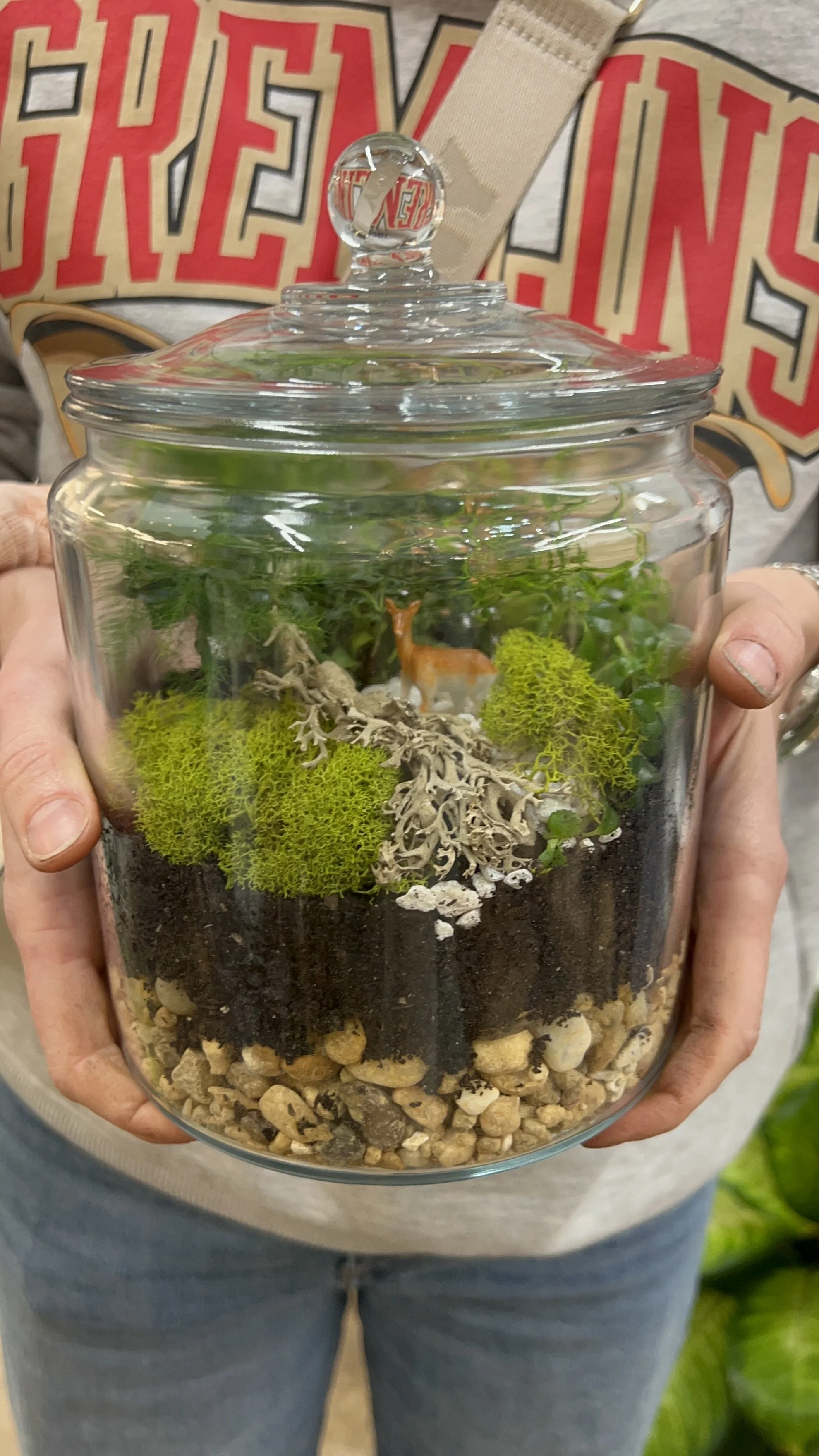 Saturday morning Terrarium Creation Workshop