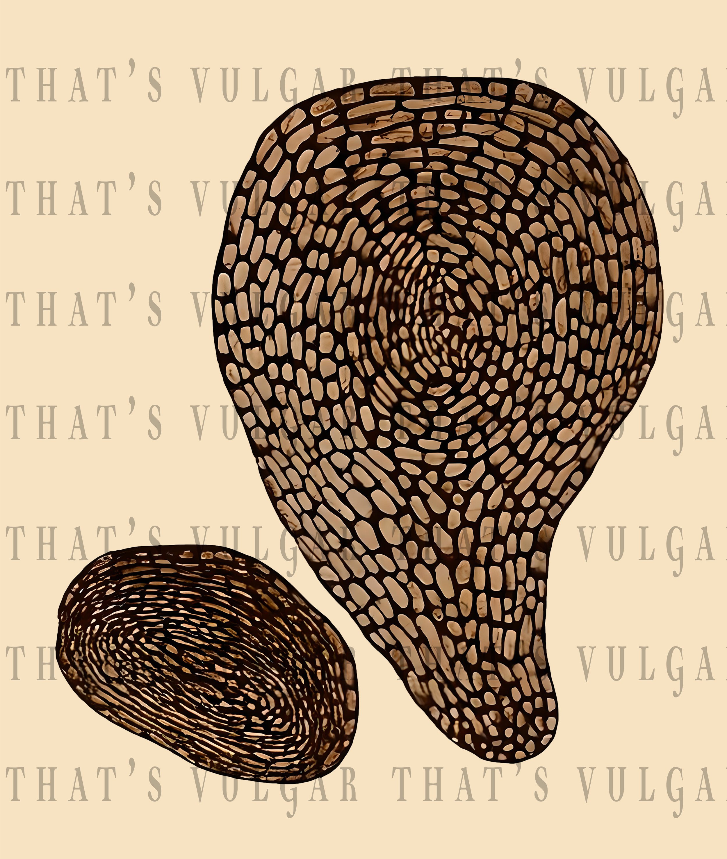 The Hive - watermark.jpg