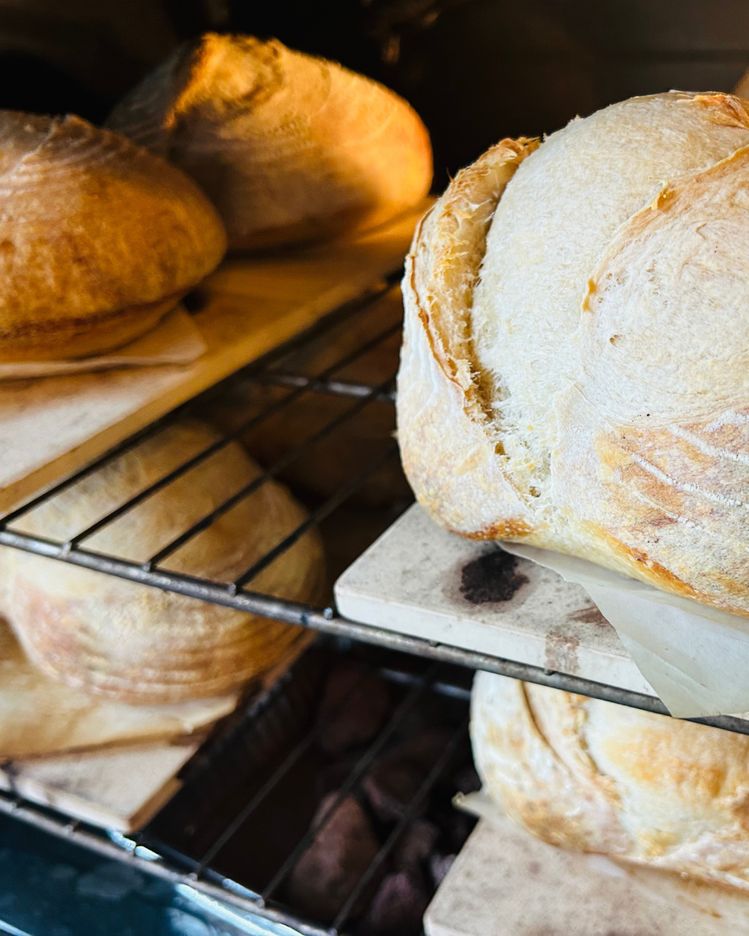 sourdough.png